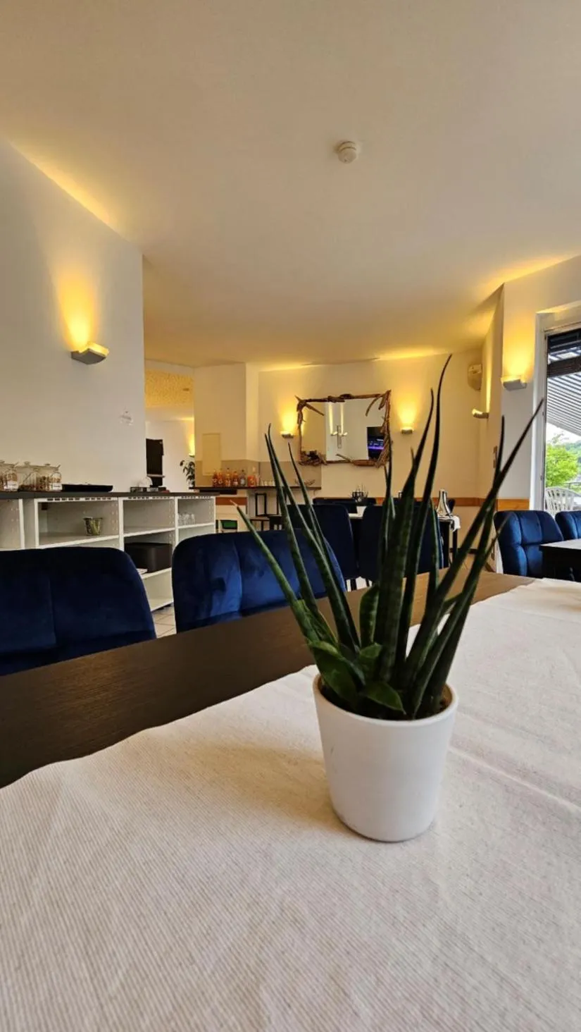 Kitchen or kitchenette in Elha Hotel