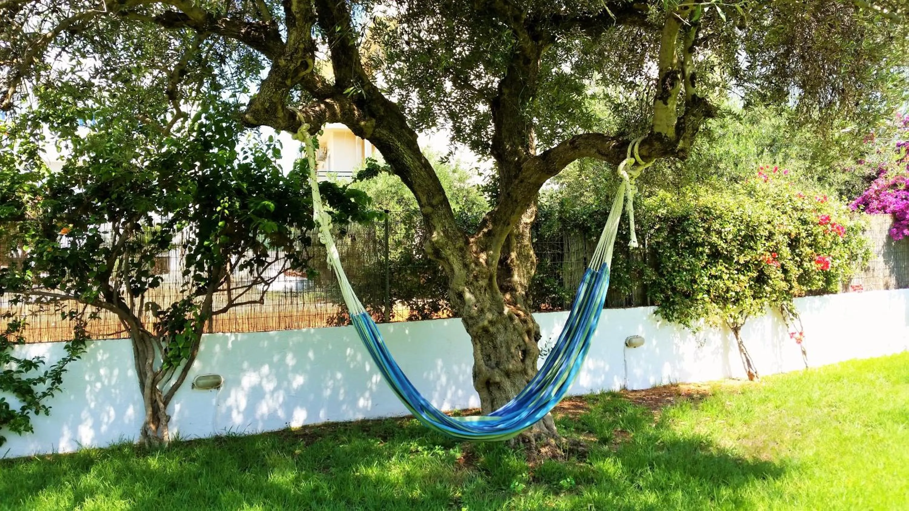 Garden in Emerald Hotel