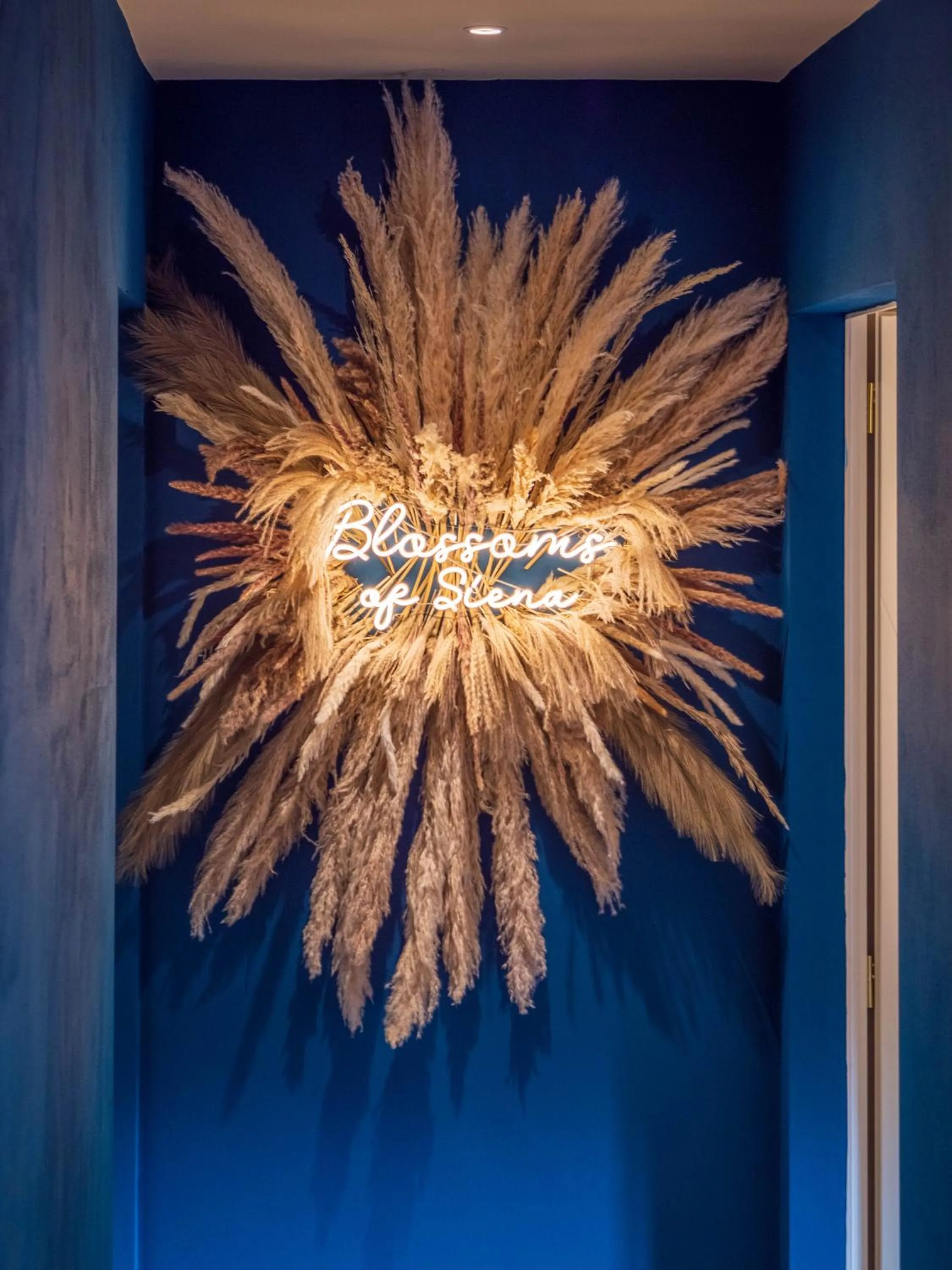 Blossoms of Siena, Adults Only