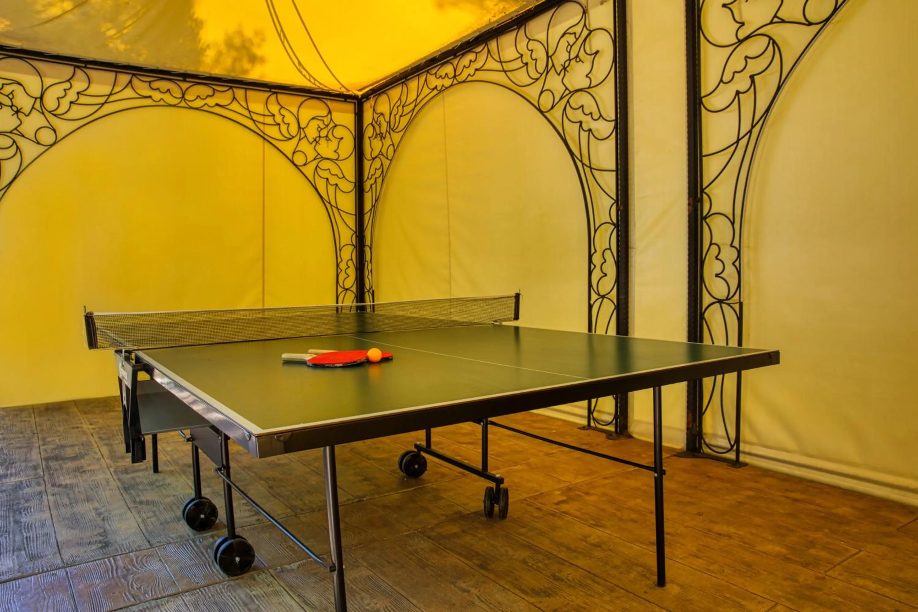 Table tennis in Asteria Family Sunny Beach - Ultra All Inclusive