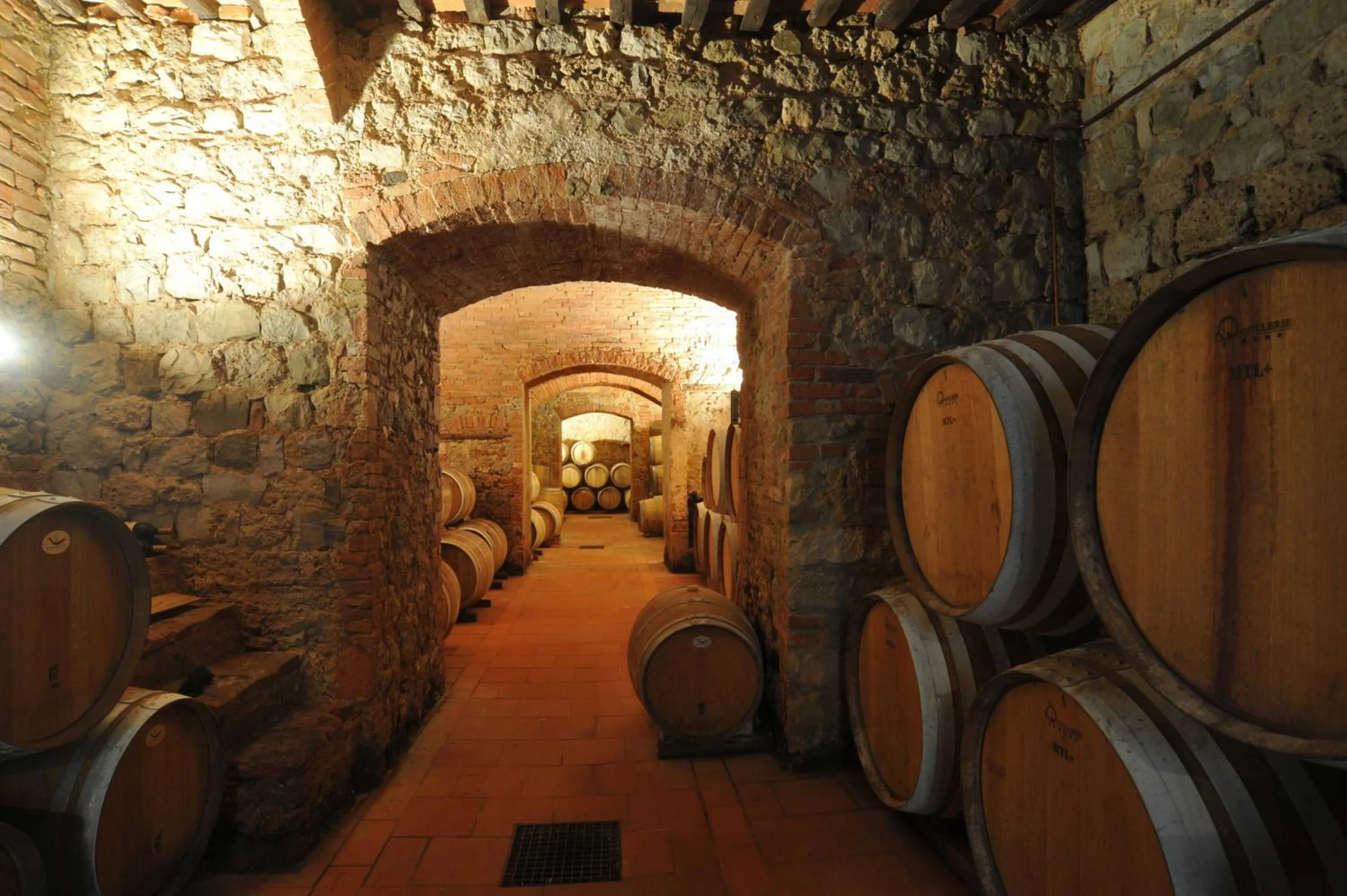 Activities in Fattoria Lornano Winery