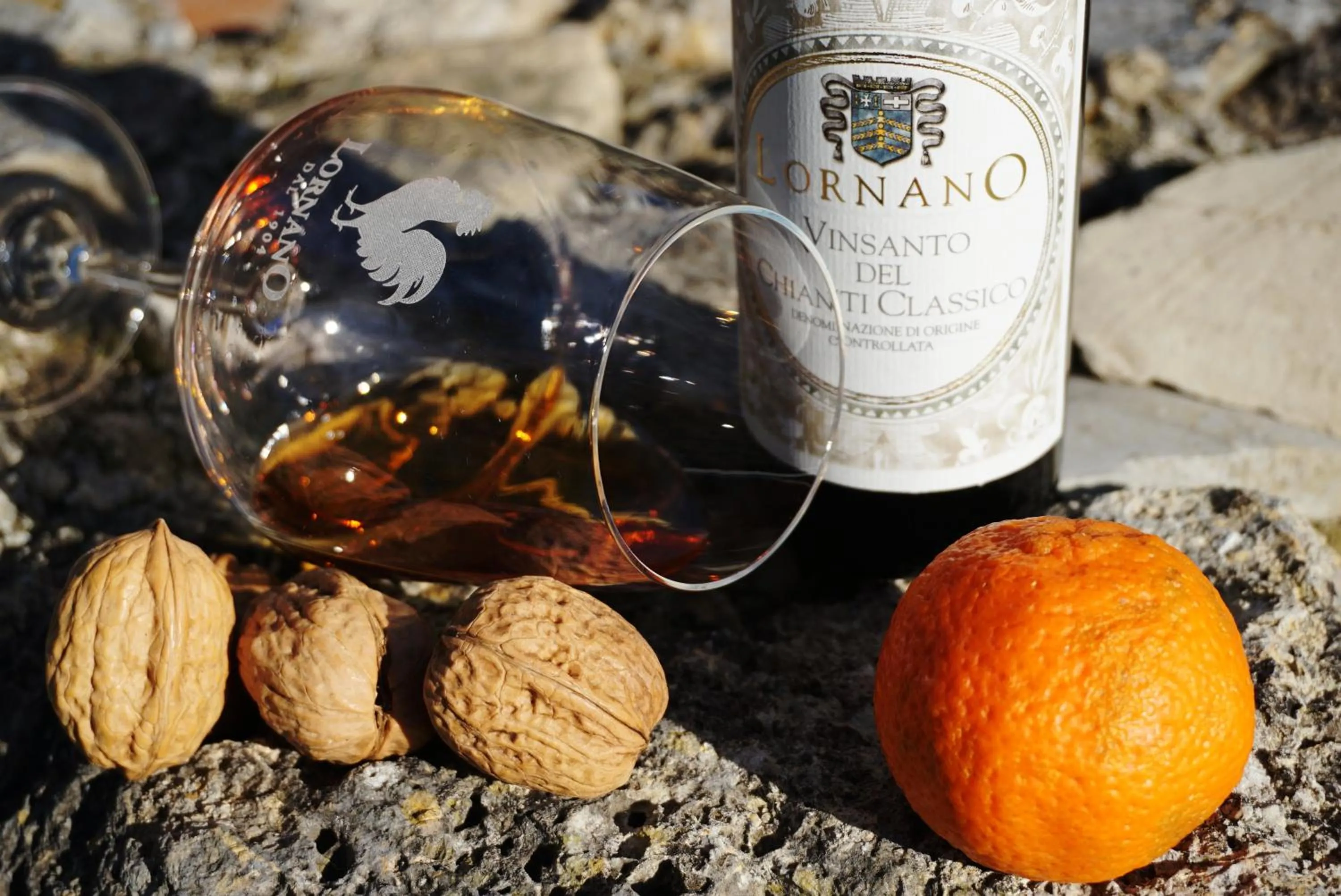 Activities in Fattoria Lornano Winery