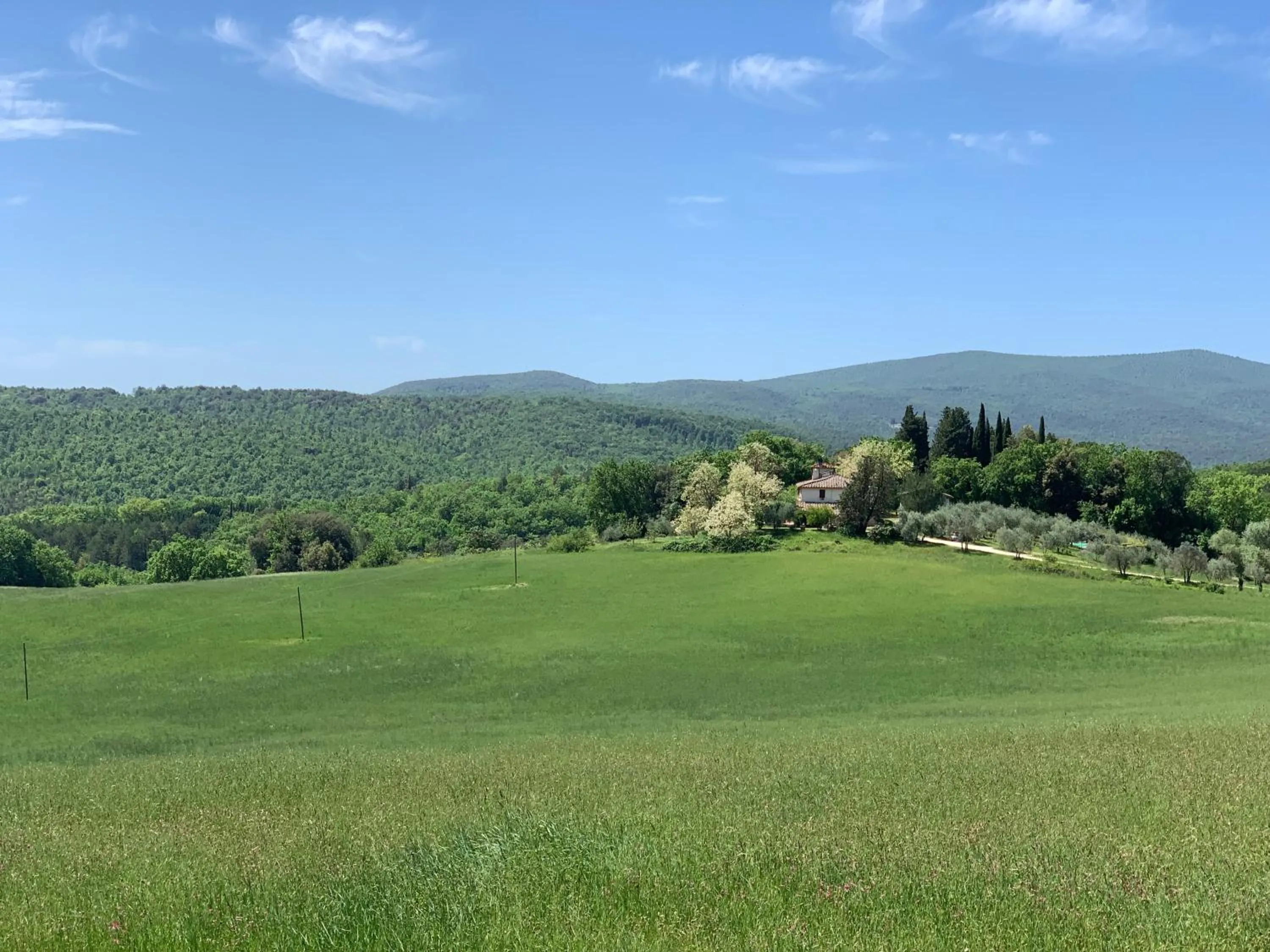 Swimming pool in Fattoria Lornano Winery