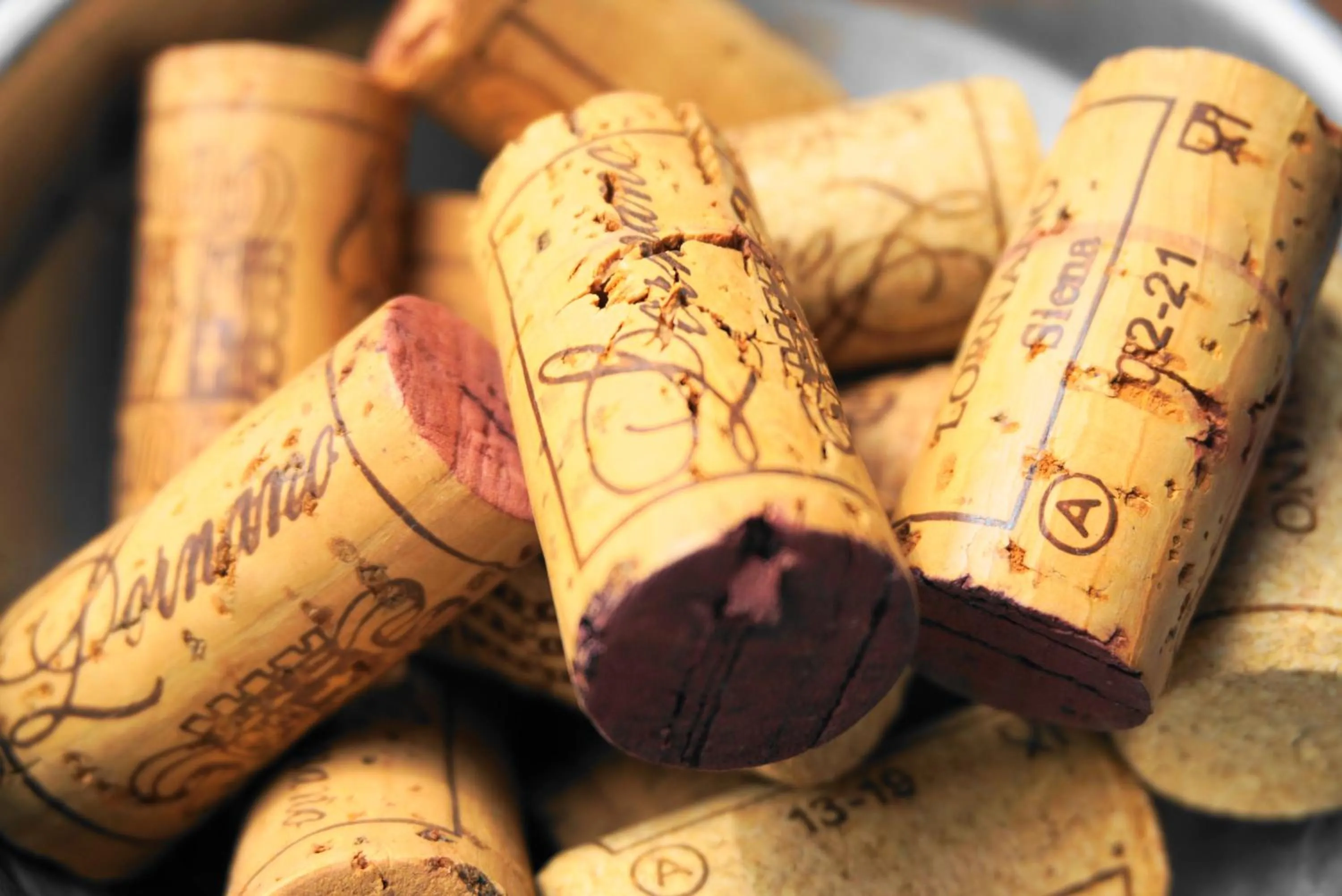 Activities in Fattoria Lornano Winery