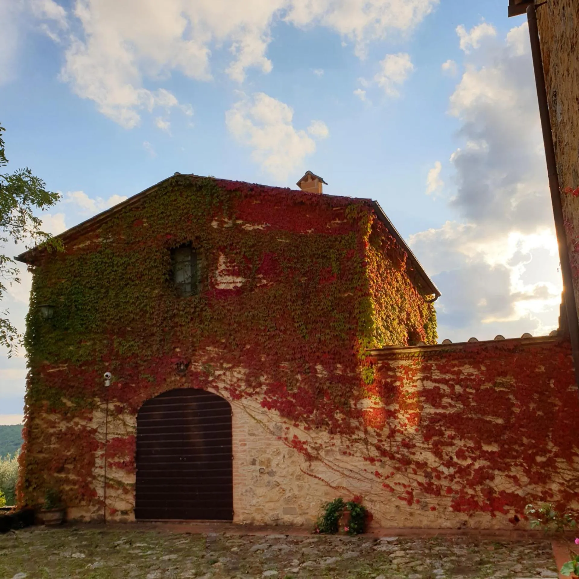 Property building in Fattoria Lornano Winery