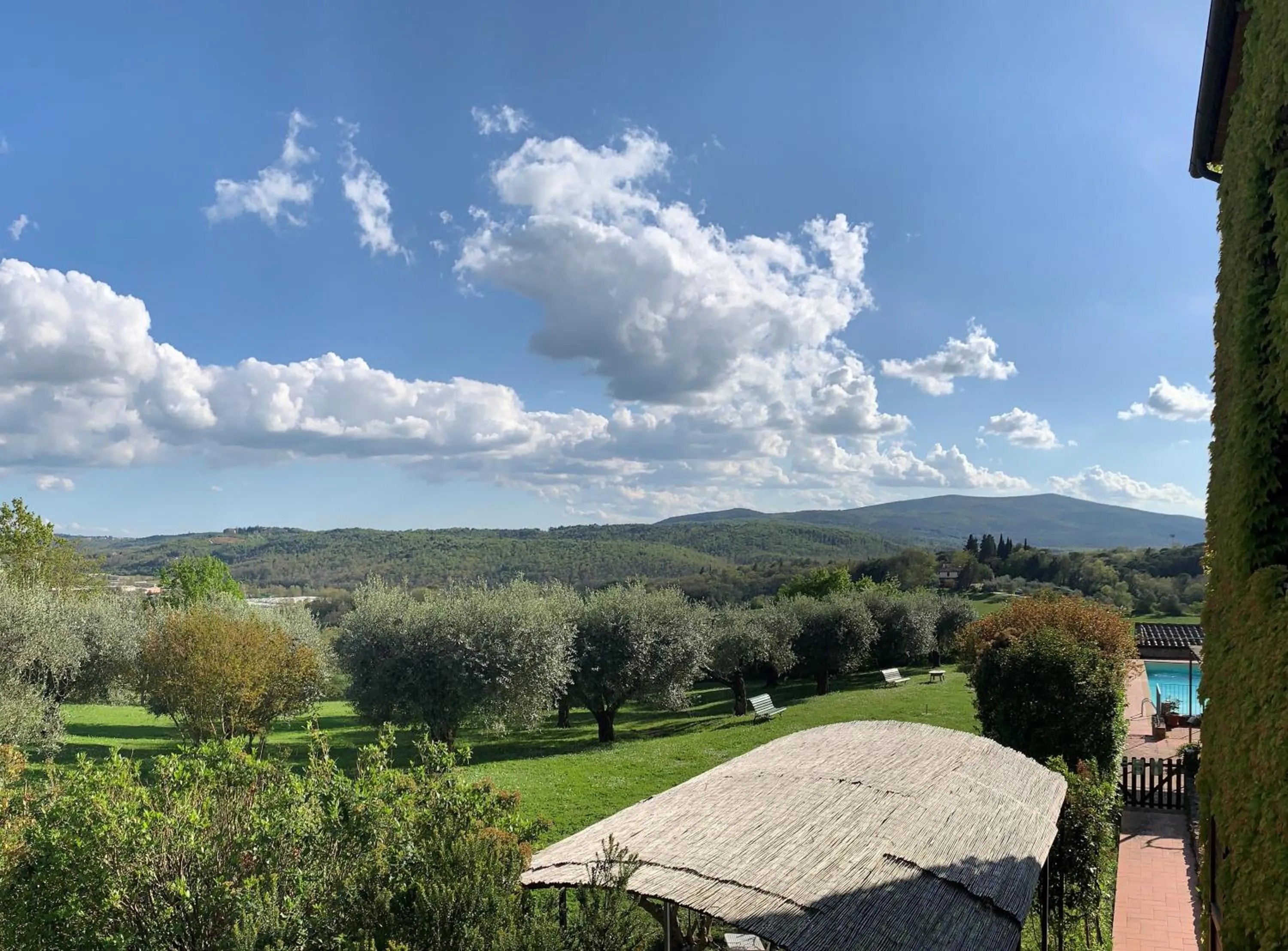 Garden in Fattoria Lornano Winery
