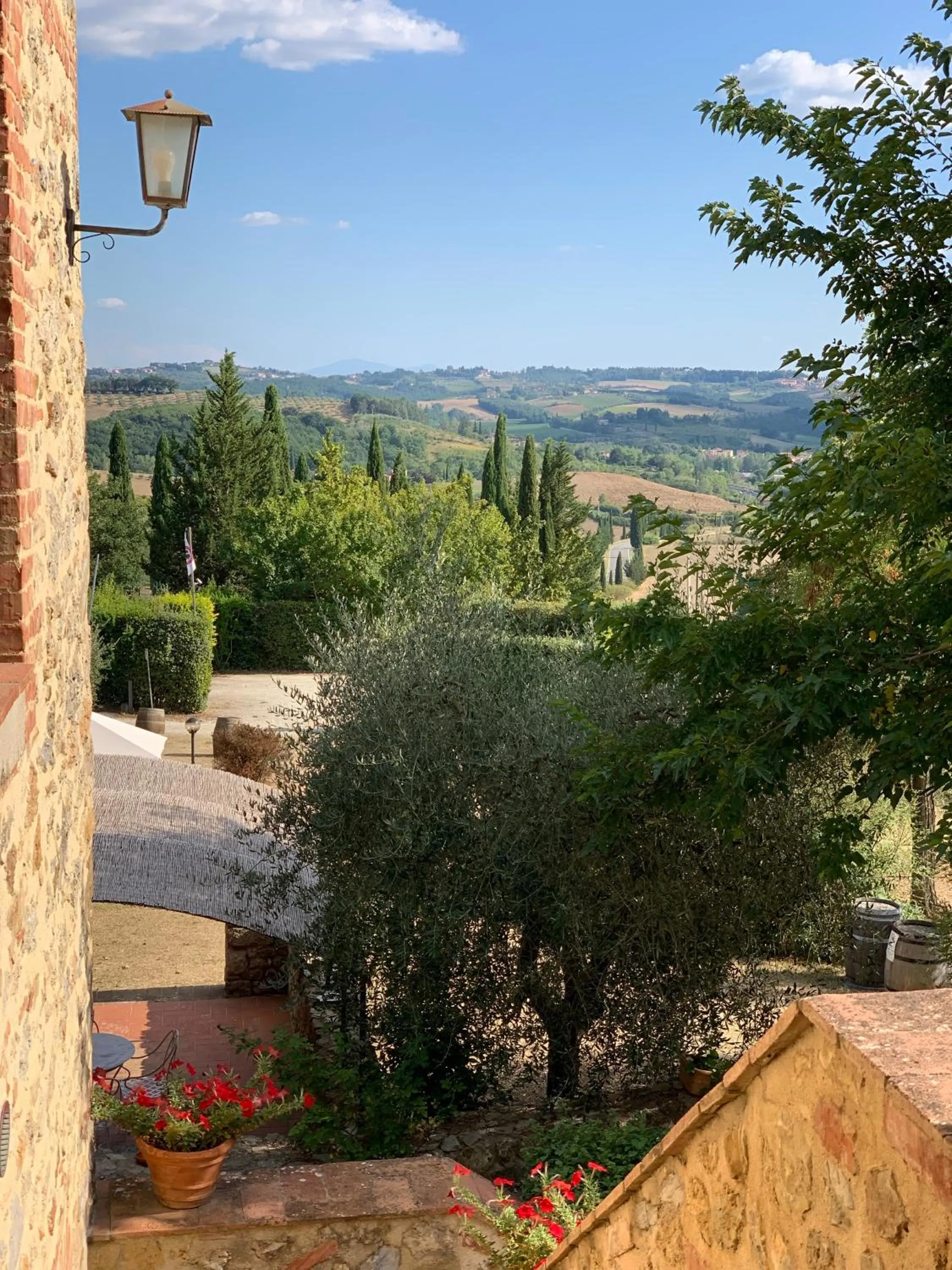 View (from property/room) in Fattoria Lornano Winery