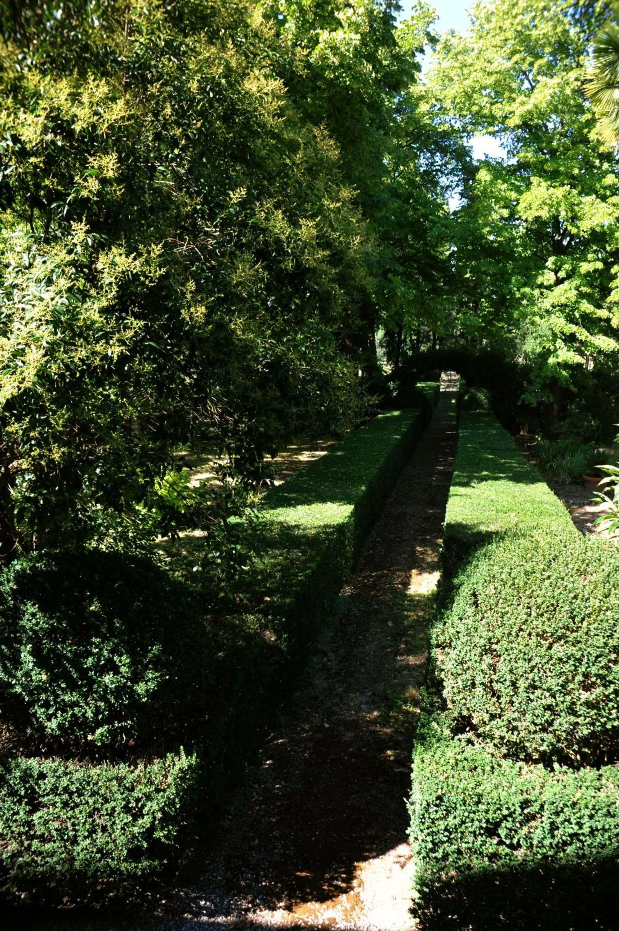 Decorative detail in Fattoria Lornano Winery