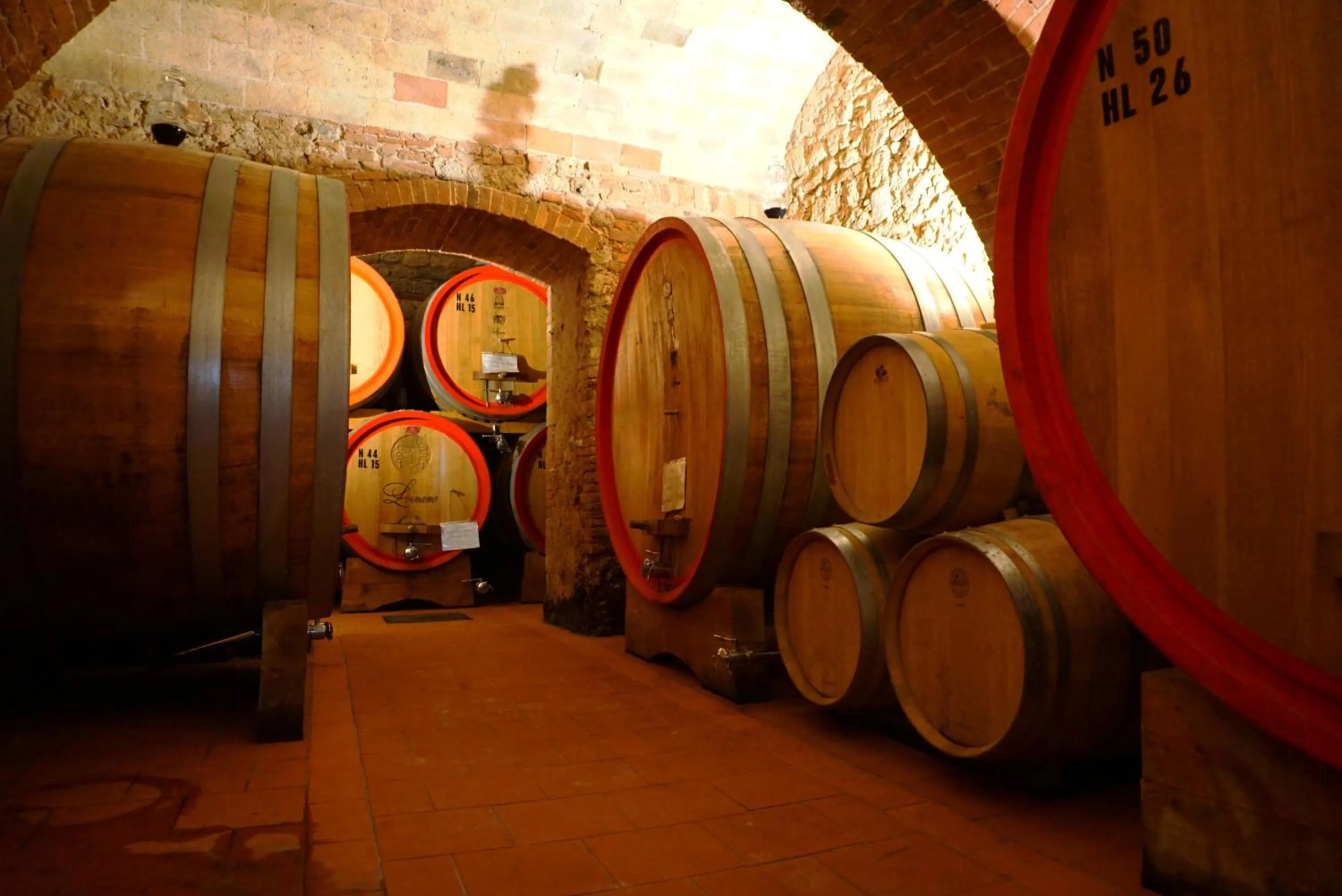 Activities in Fattoria Lornano Winery