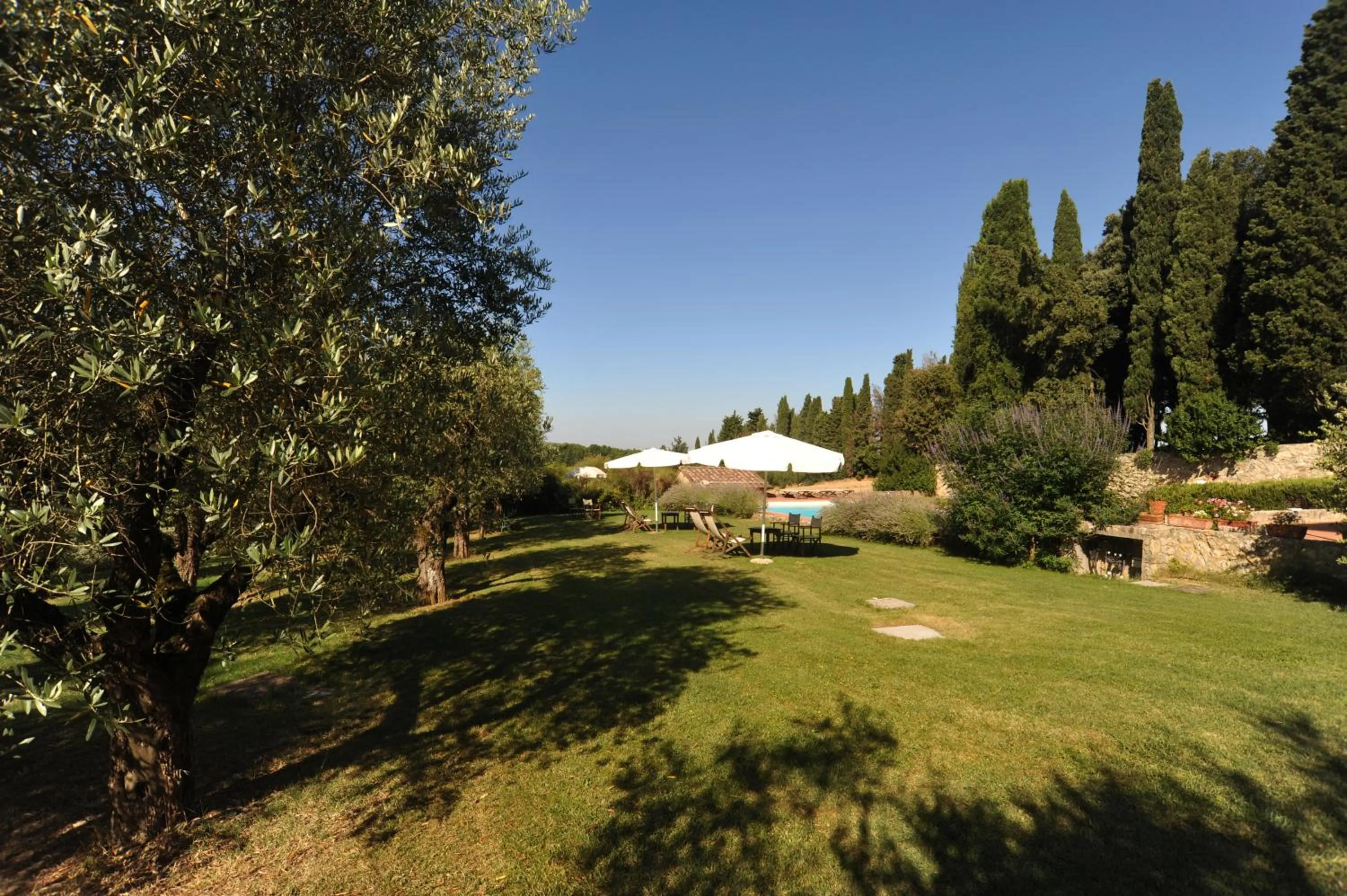 Garden in Fattoria Lornano Winery