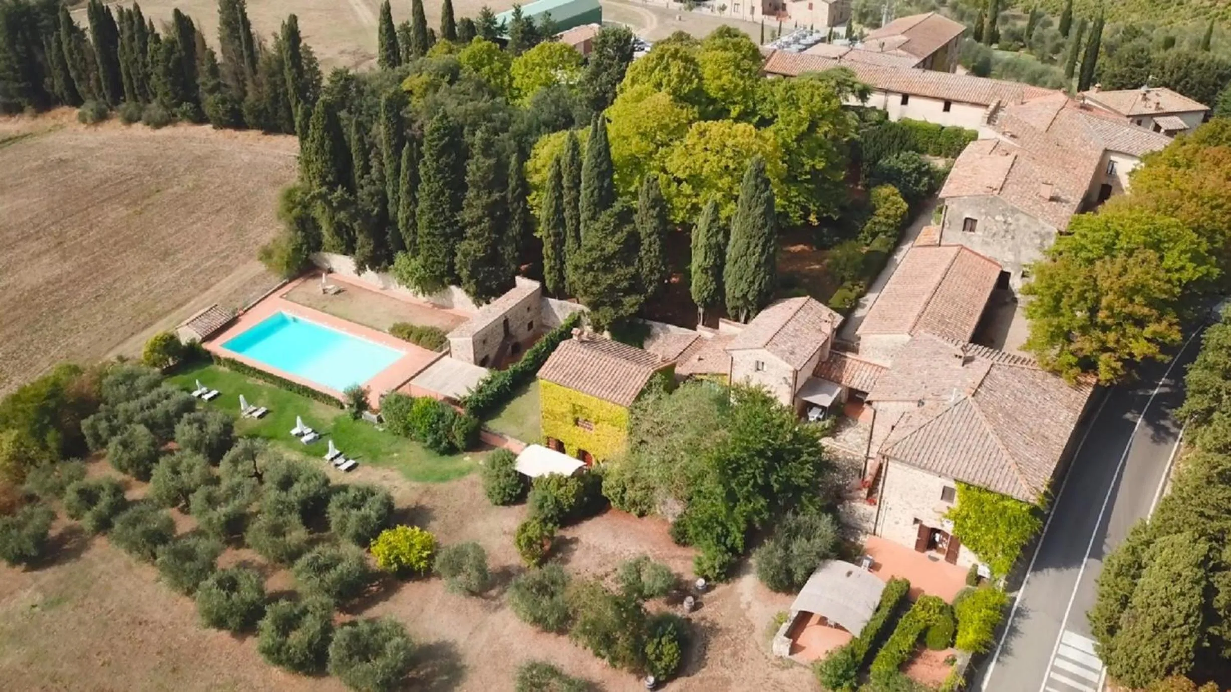 Bird's eye view in Fattoria Lornano Winery