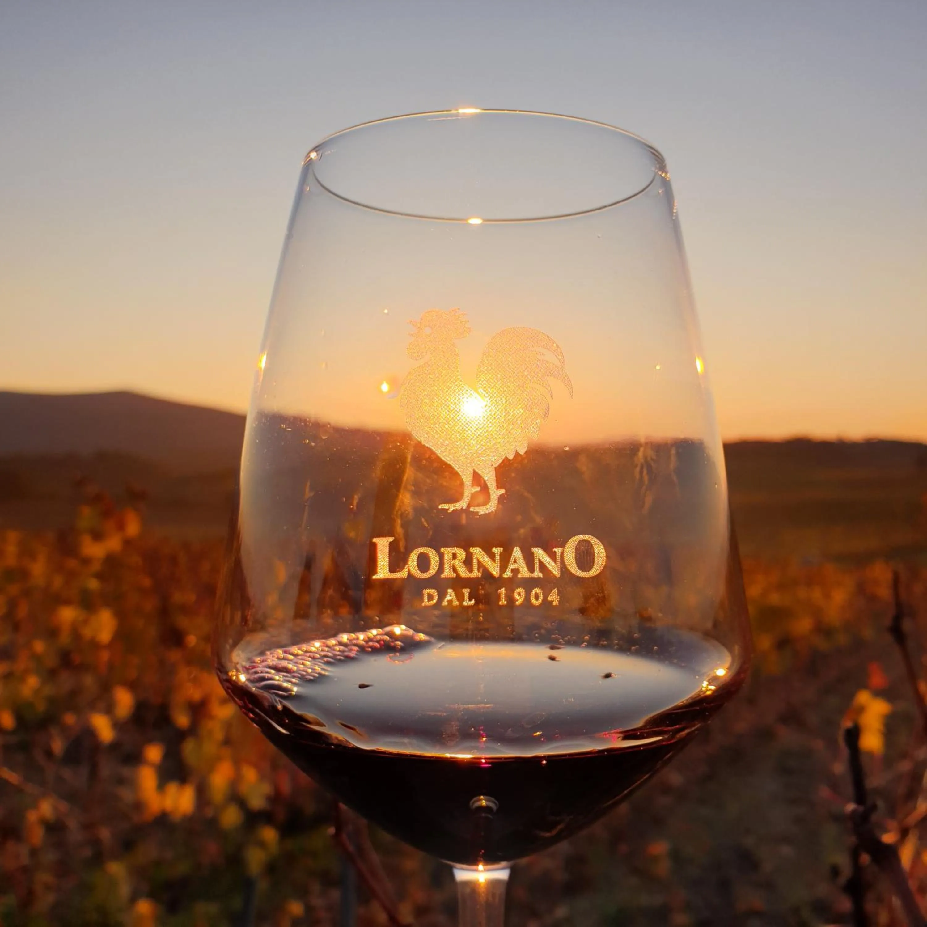 Activities in Fattoria Lornano Winery