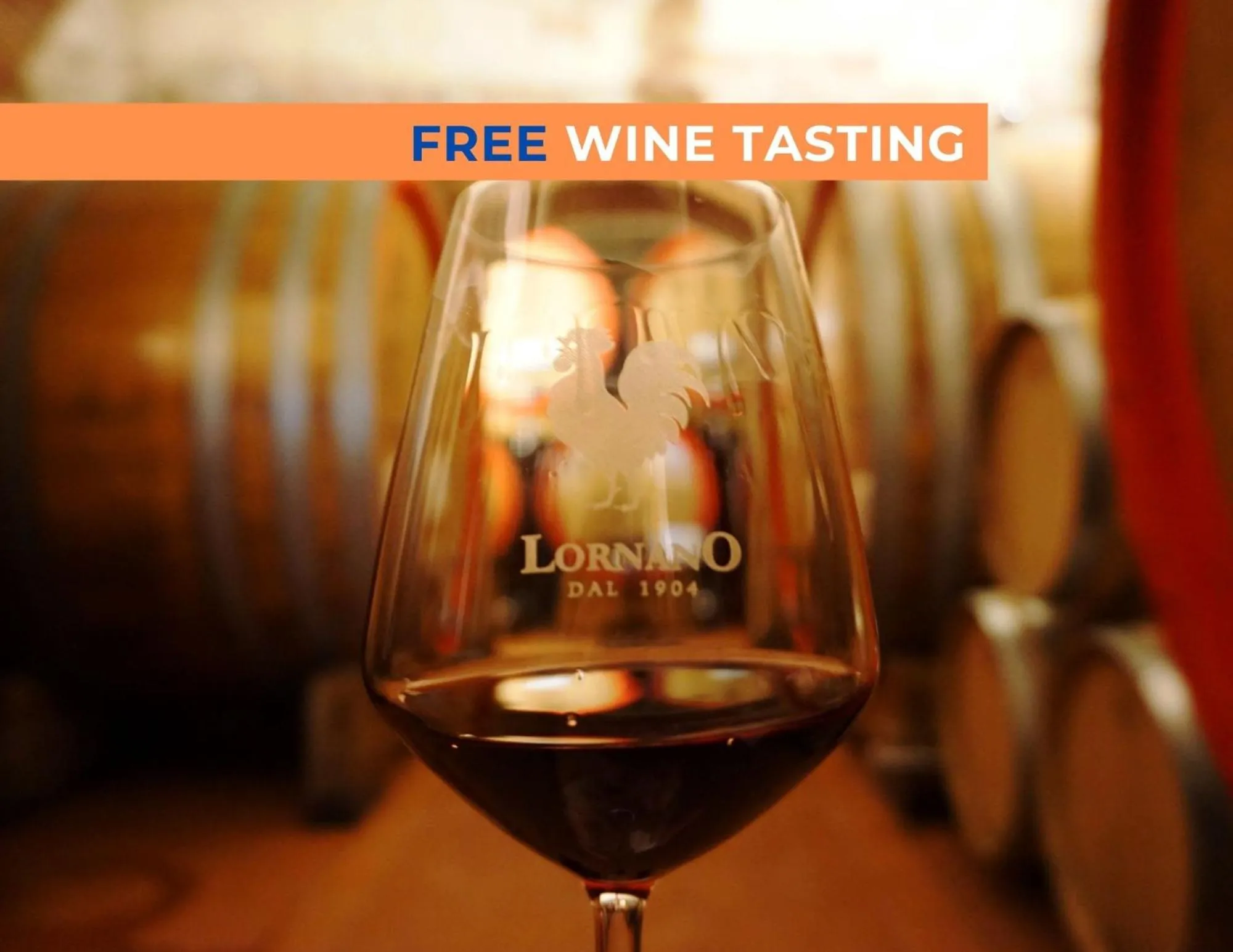 Activities in Fattoria Lornano Winery