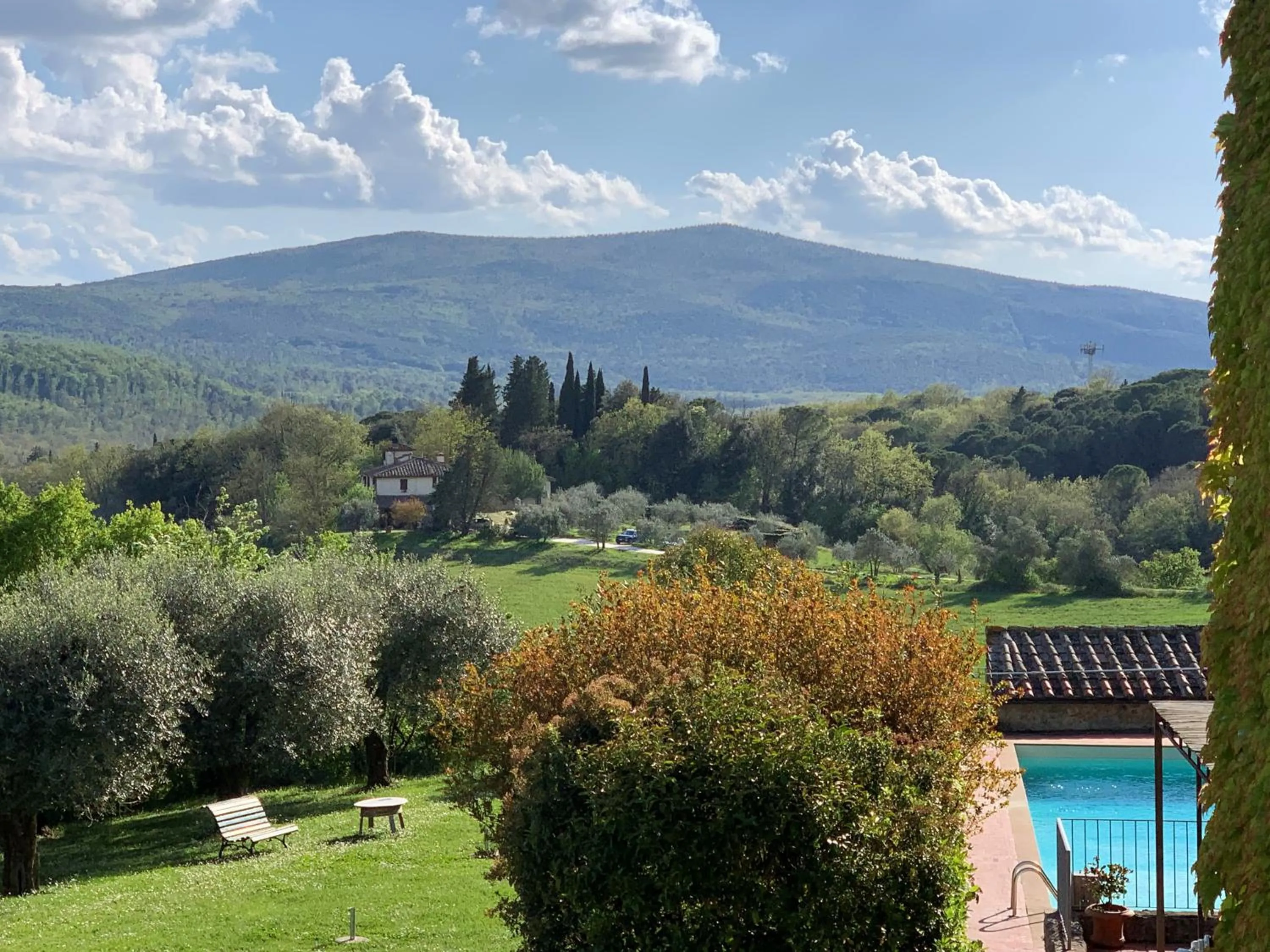 Garden in Fattoria Lornano Winery
