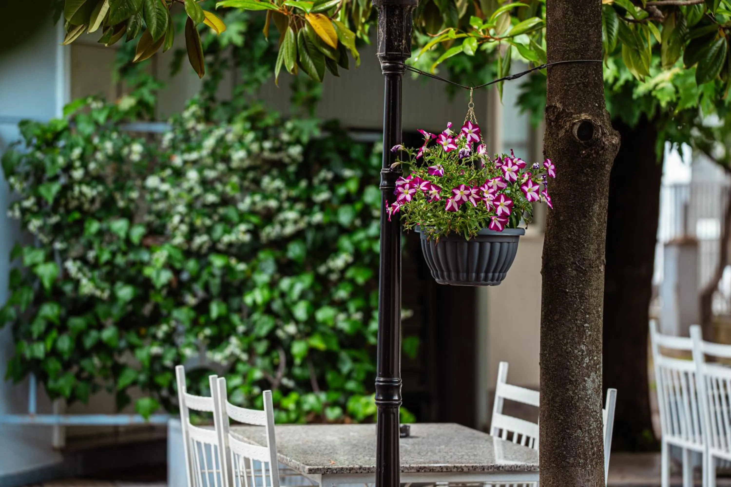 Restaurant/places to eat in Hotel Blini