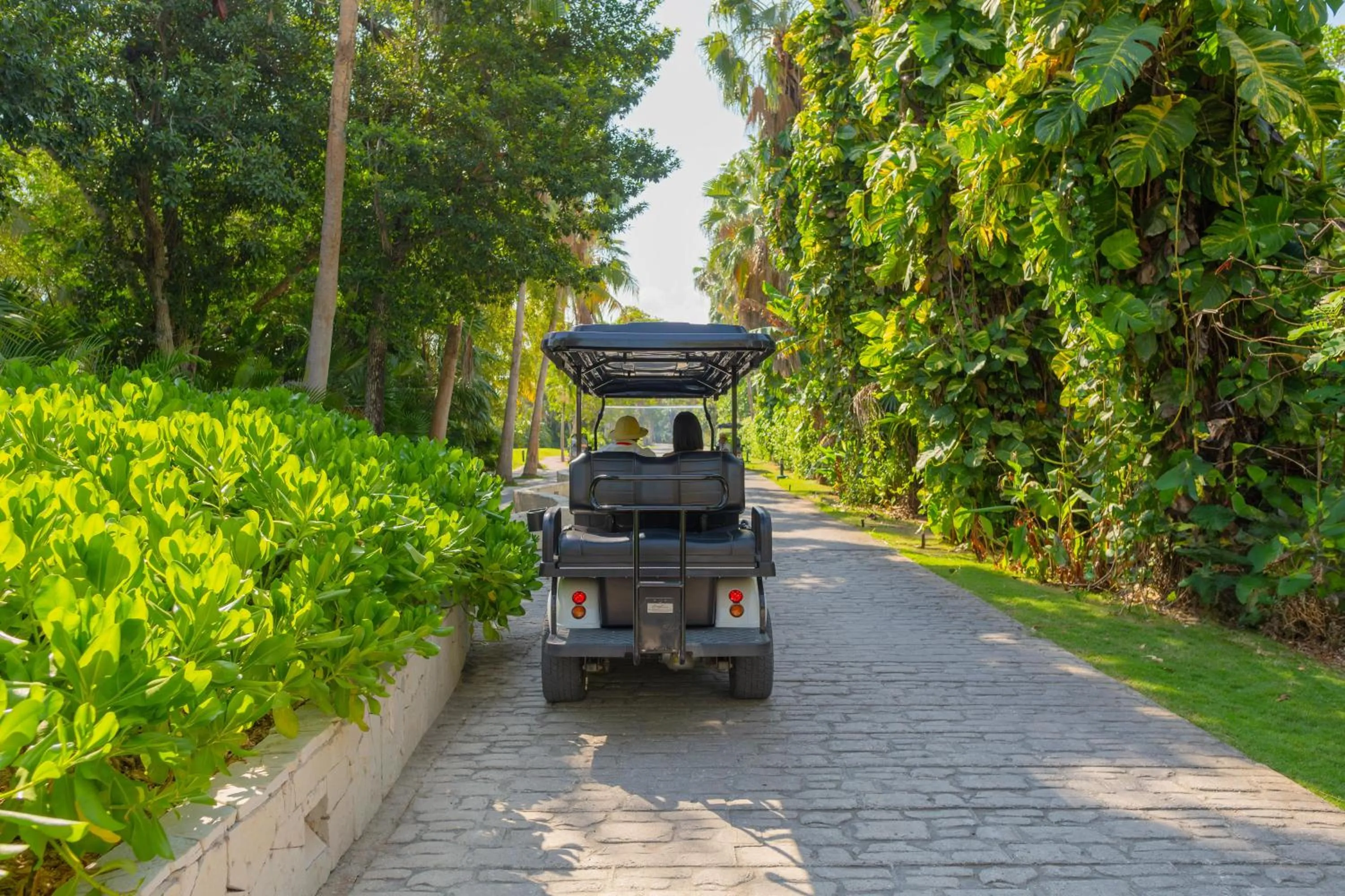 Garden in The Sens Riviera by Oasis