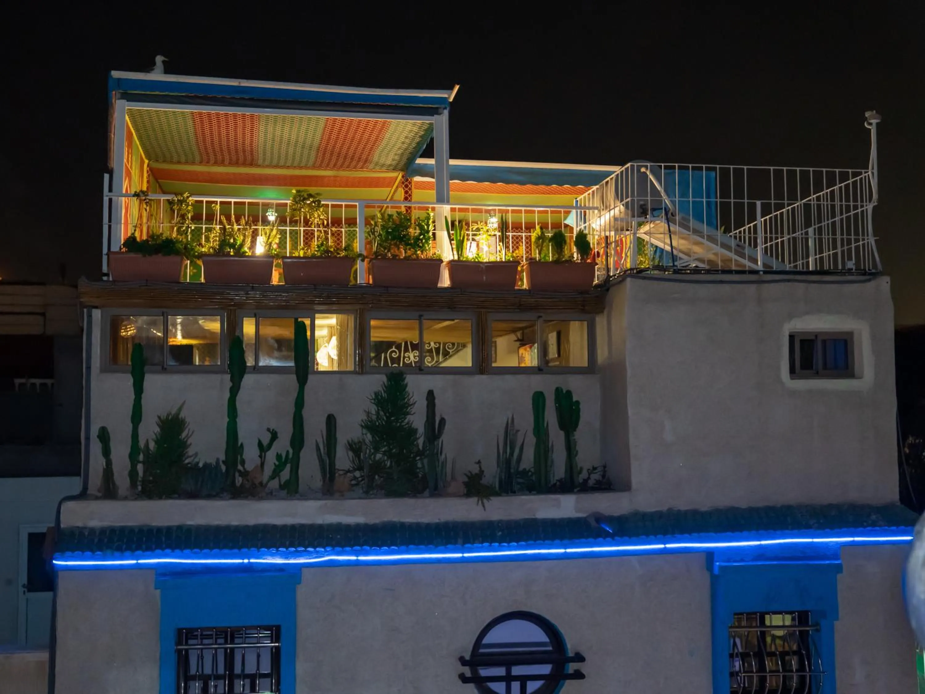 Balcony/Terrace in Dinosaur Anza Surf House