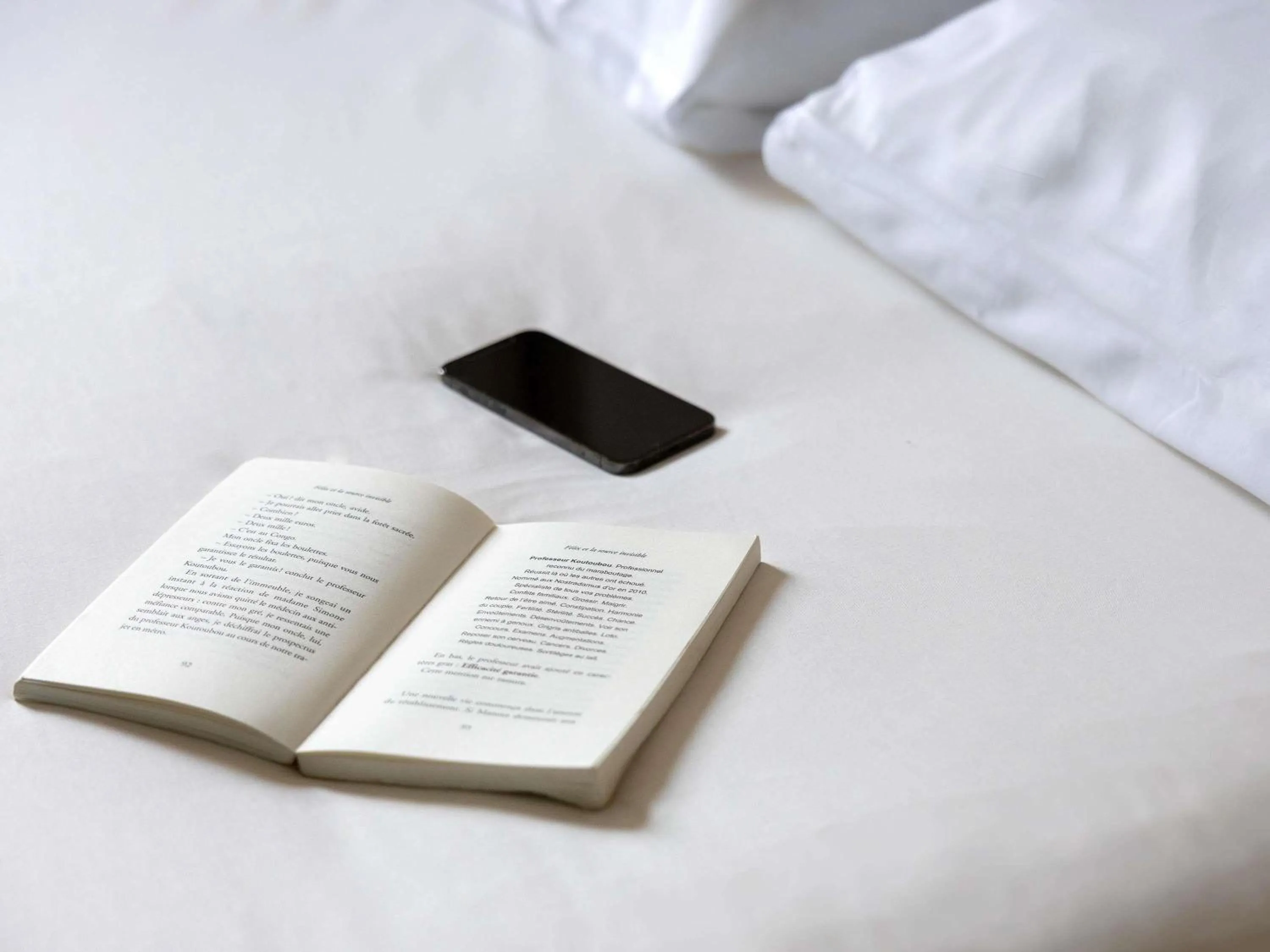 Bedroom, Bed in Ibis Albi