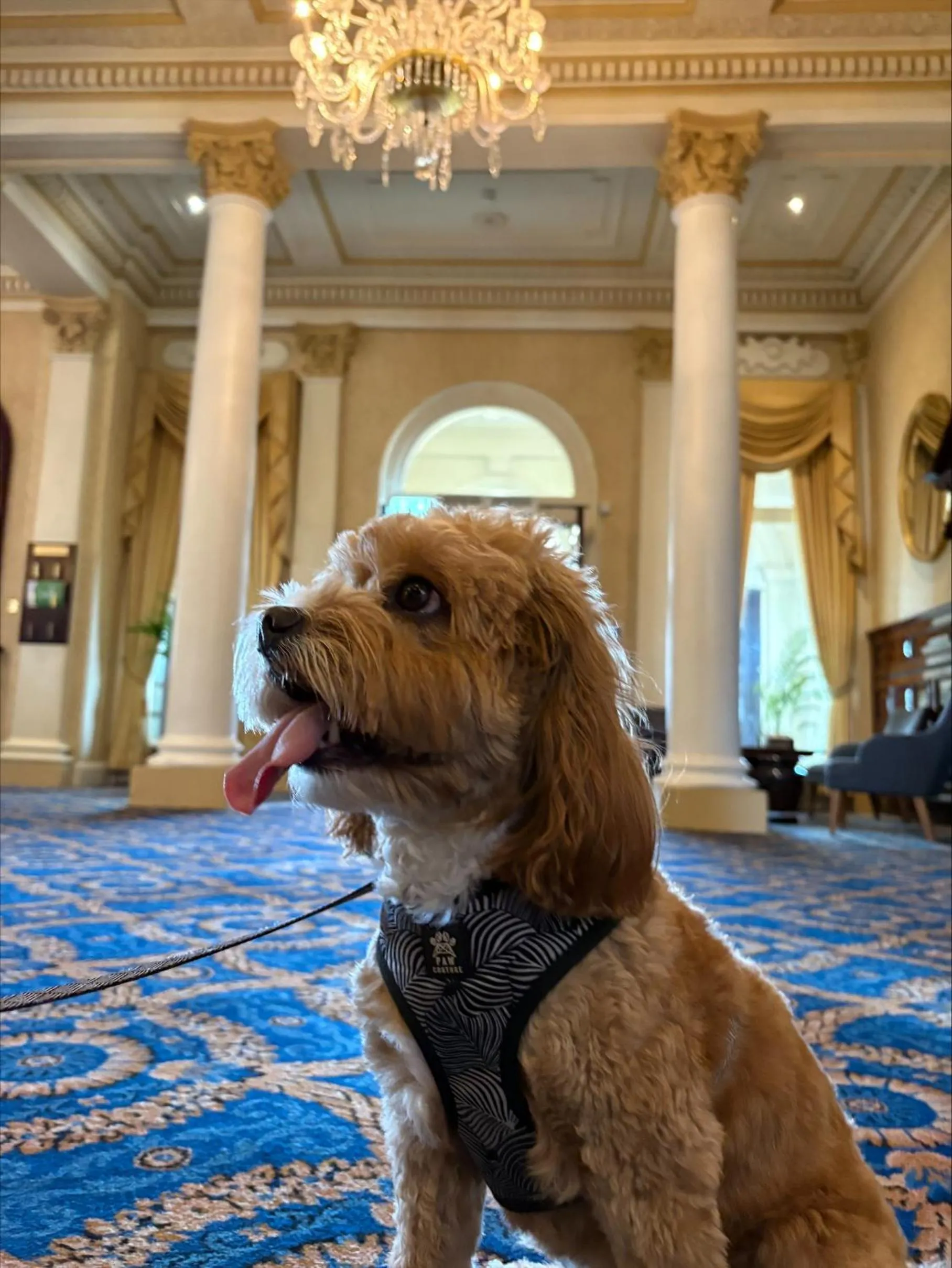 Property building in Imperial Hotel Blackpool