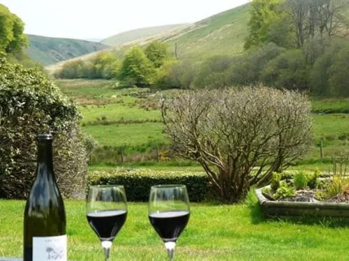 View (from property/room) in Simonsbath House Hotel