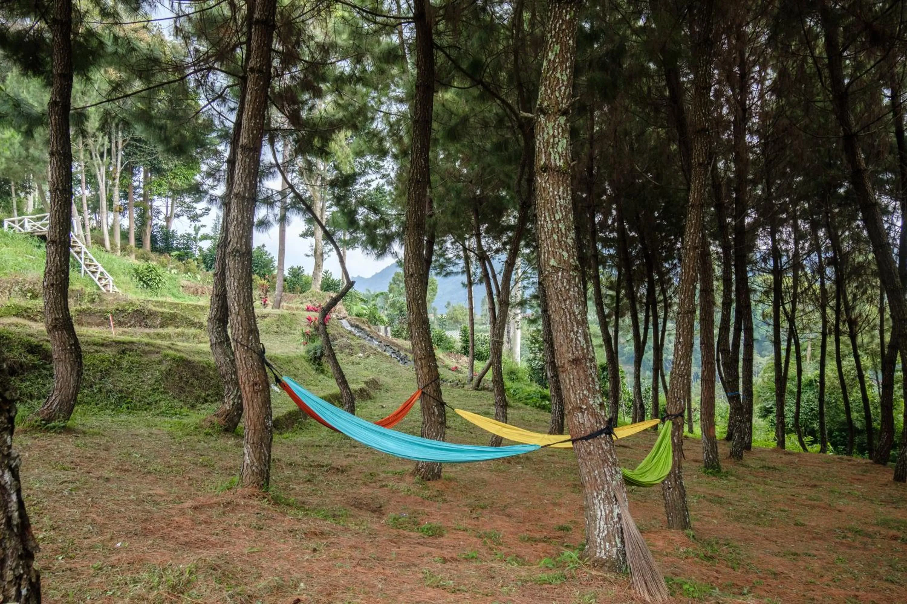Hilltop Camp, Lembang
