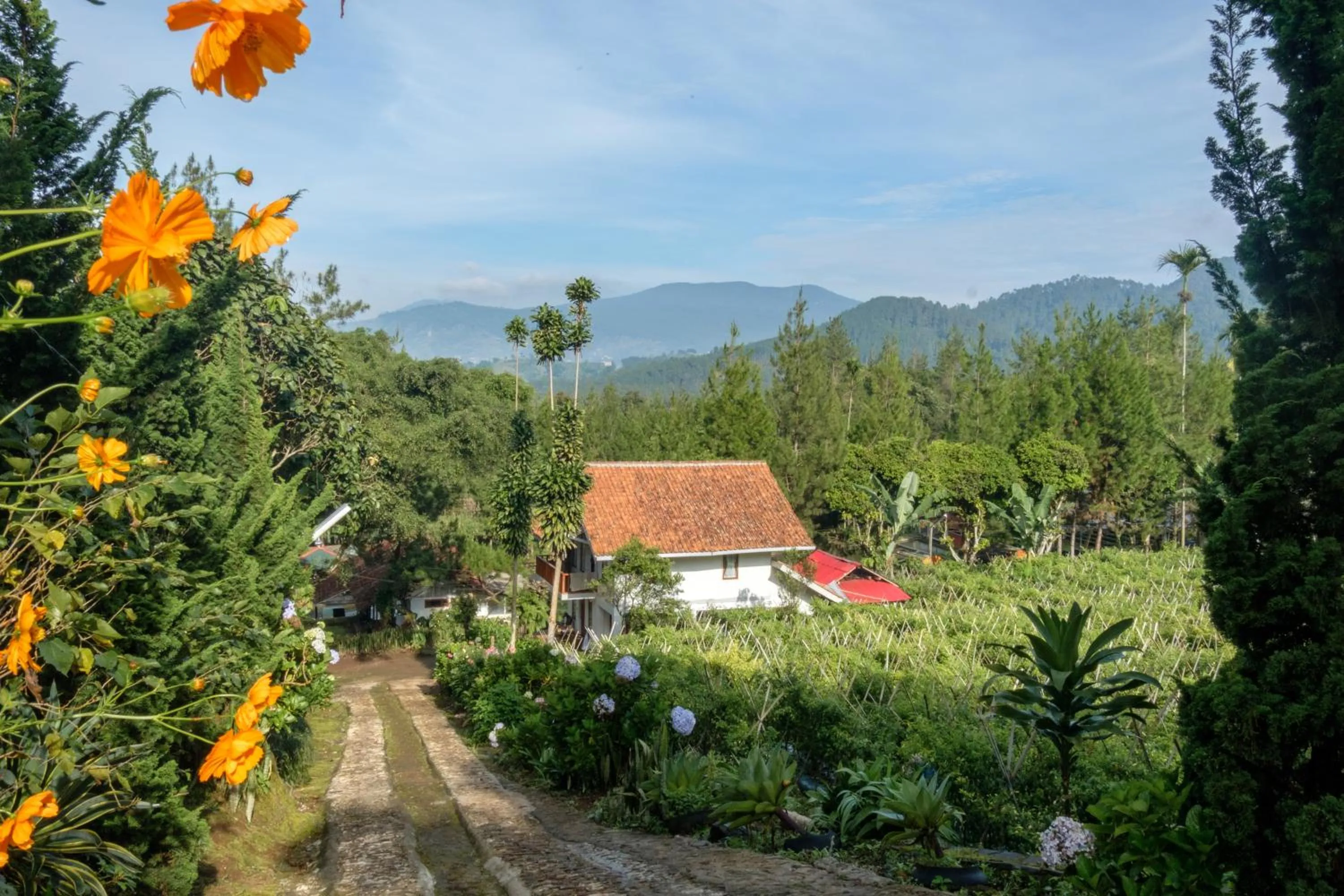 Hilltop Camp, Lembang
