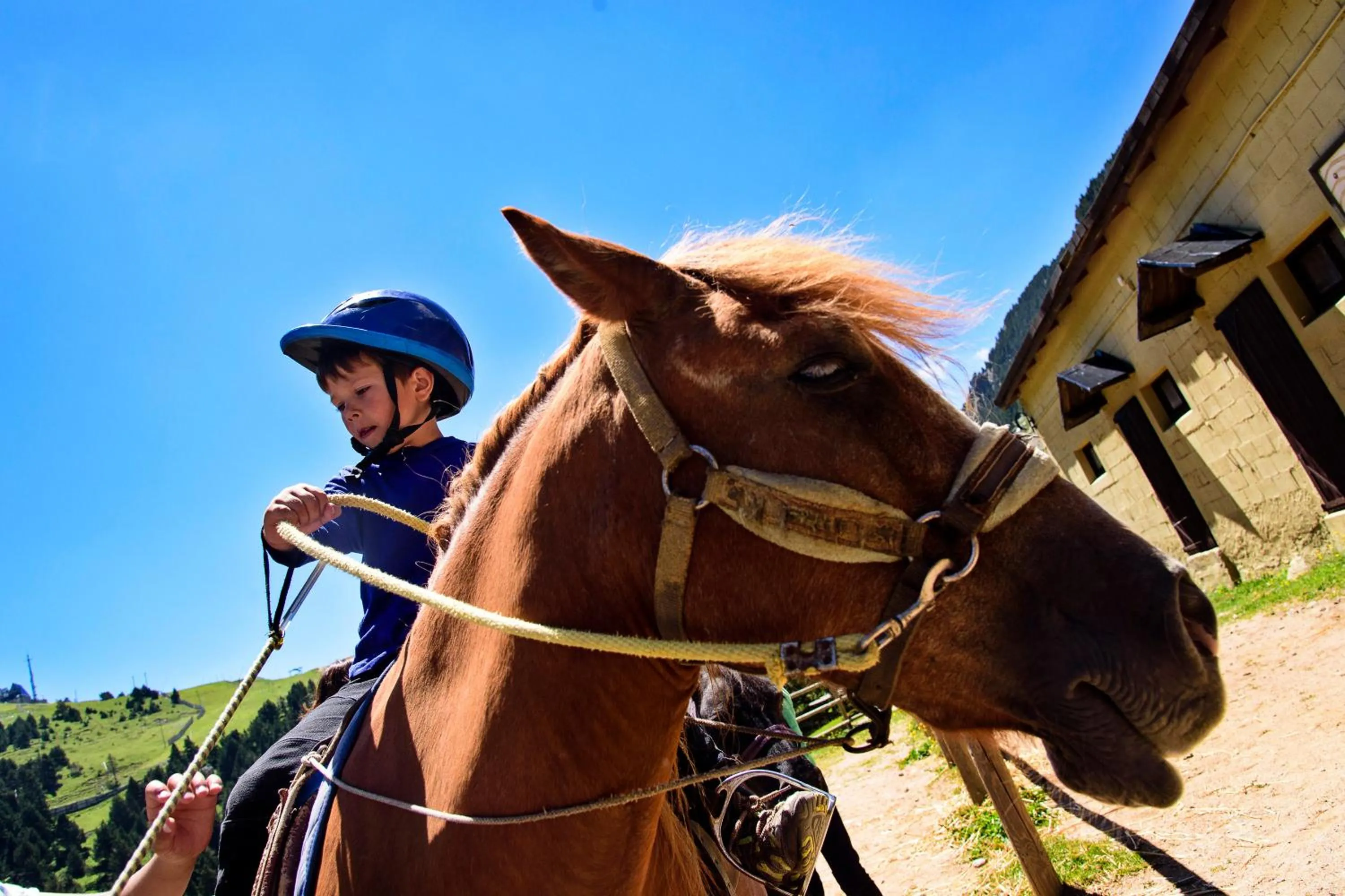Horse-riding in Apartaments Vall de Núria