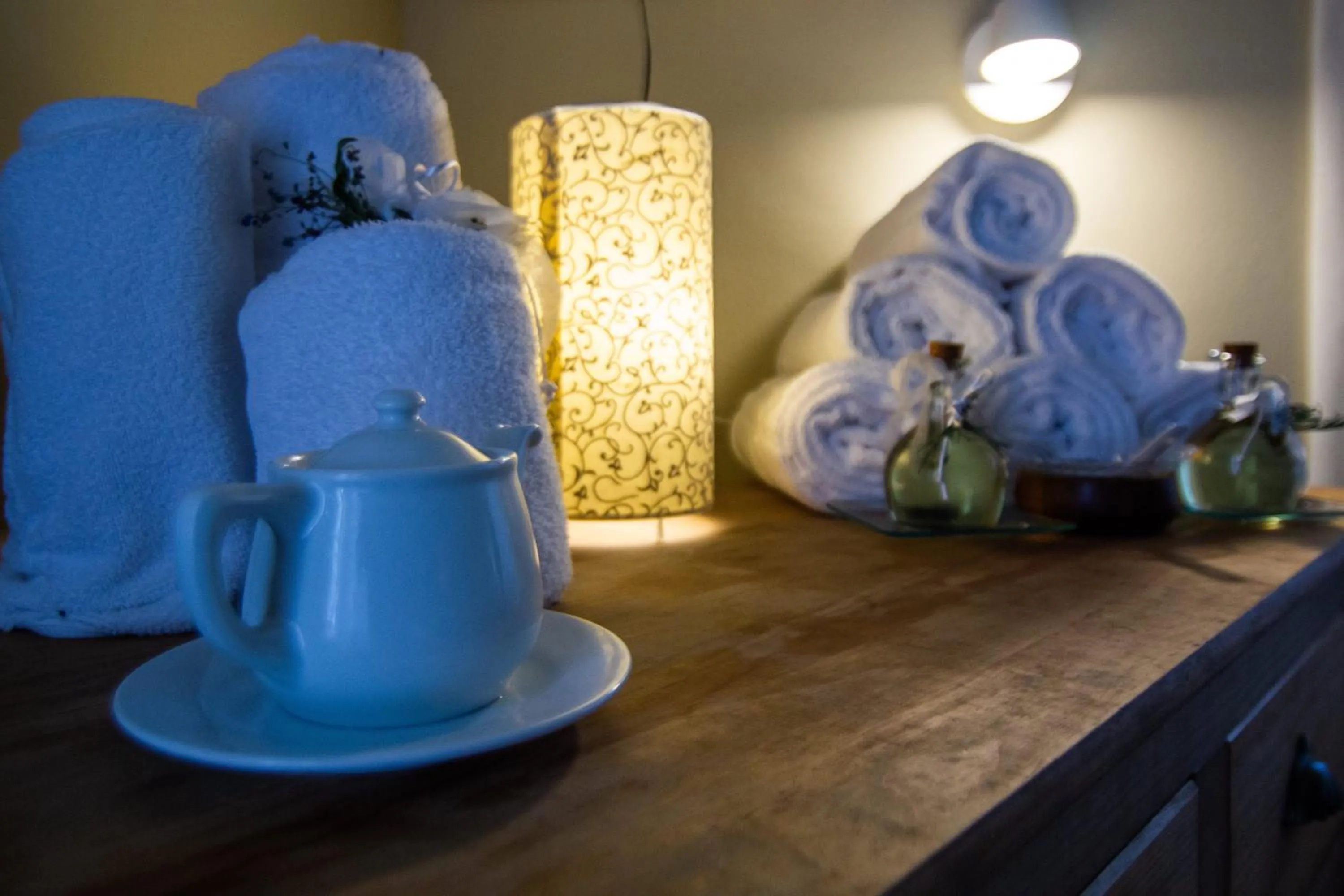 Massage in Apartaments Vall de Núria