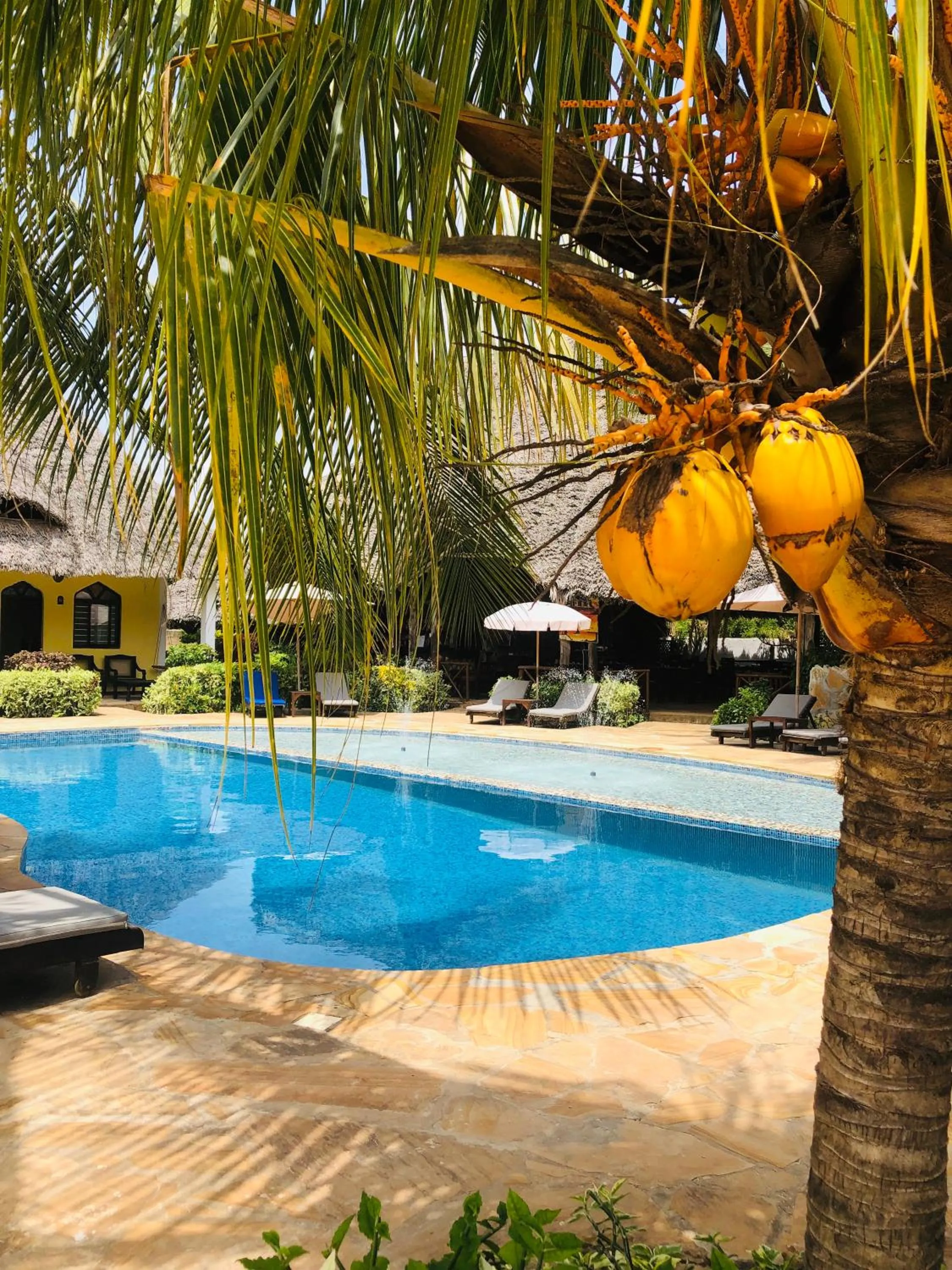 Swimming pool in Kiwengwa Bungalow Boutique Resort
