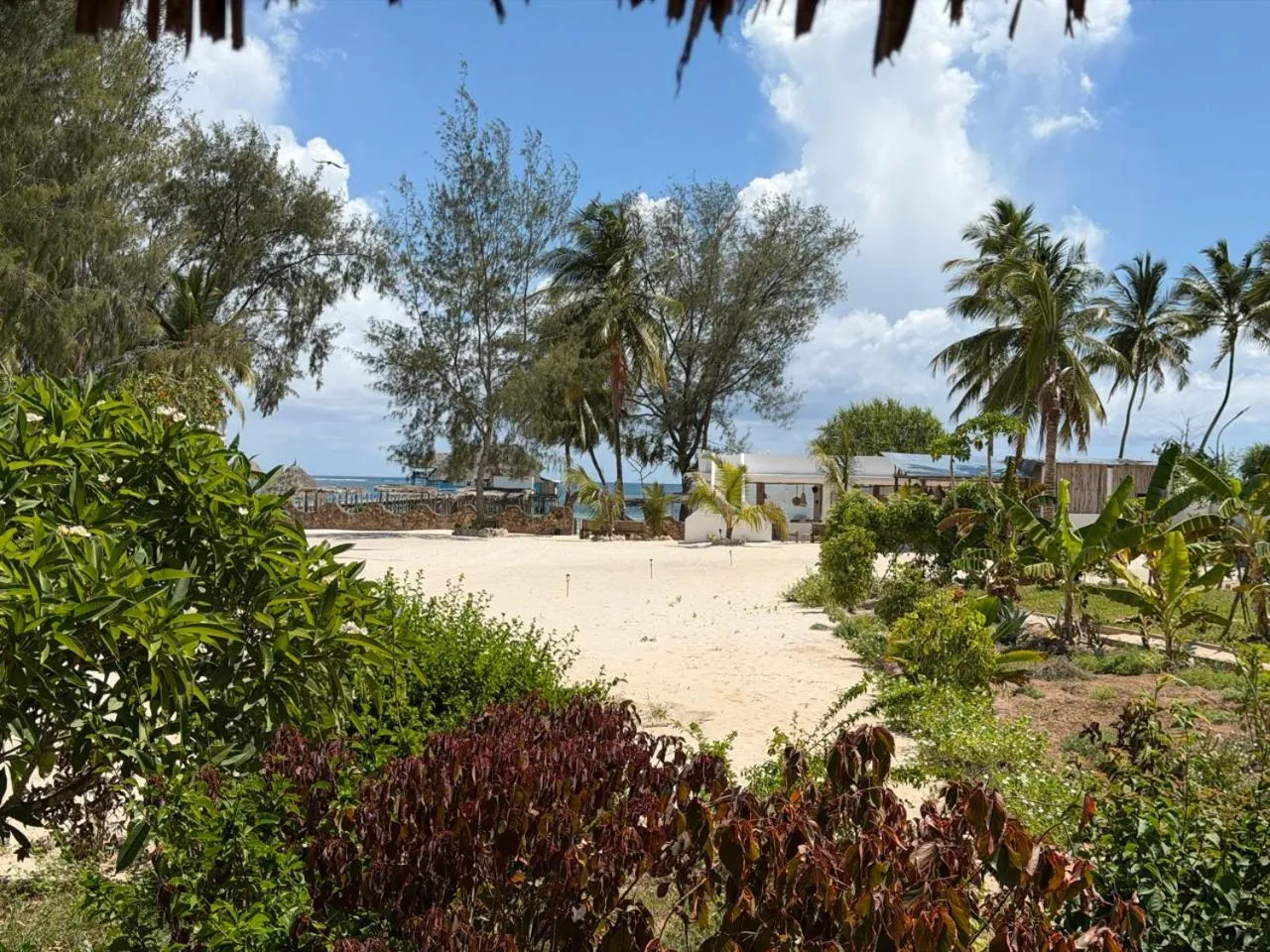 Garden in Kiwengwa Bungalow Boutique Resort