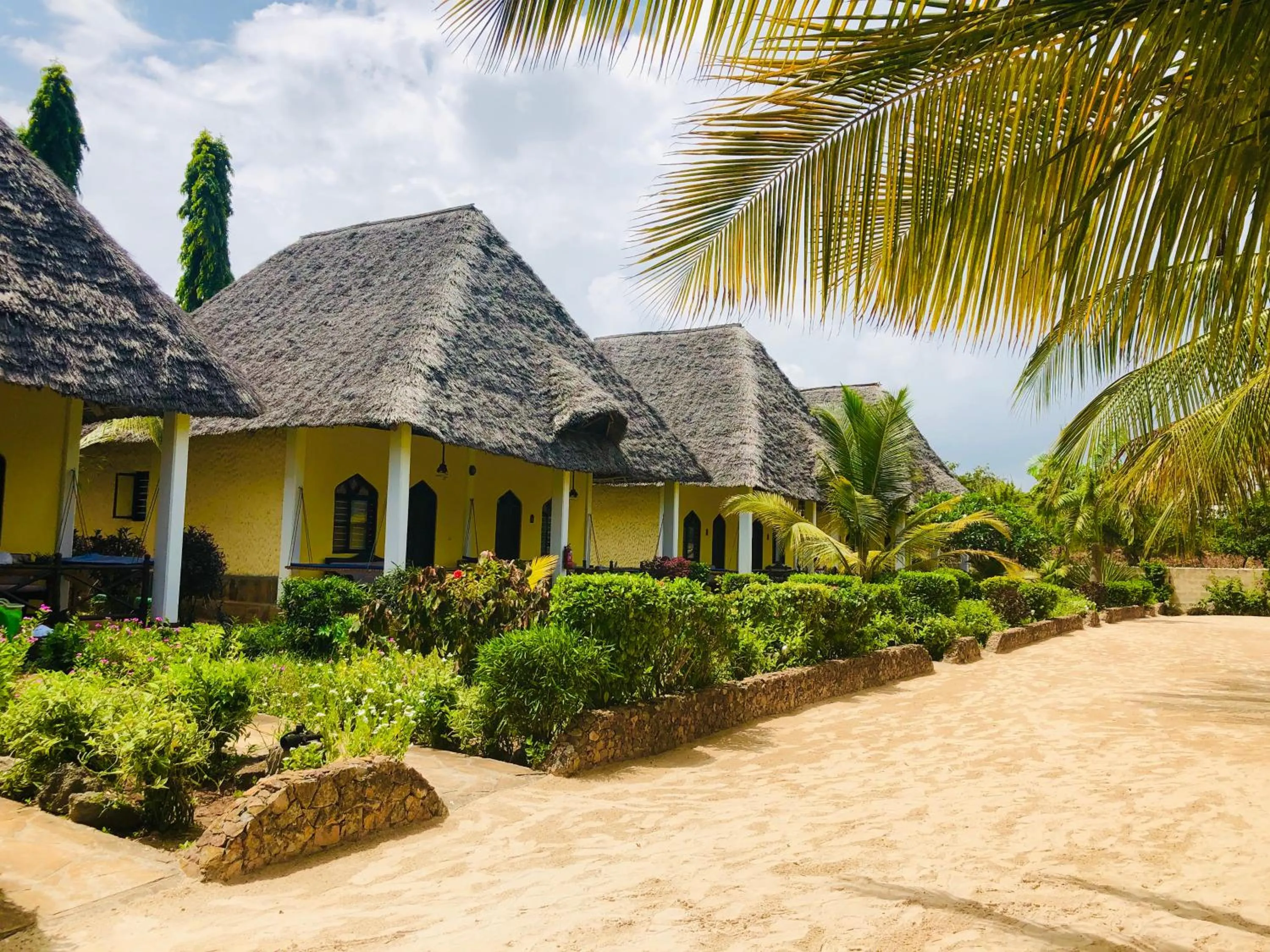 Garden view in Kiwengwa Bungalow Boutique Resort