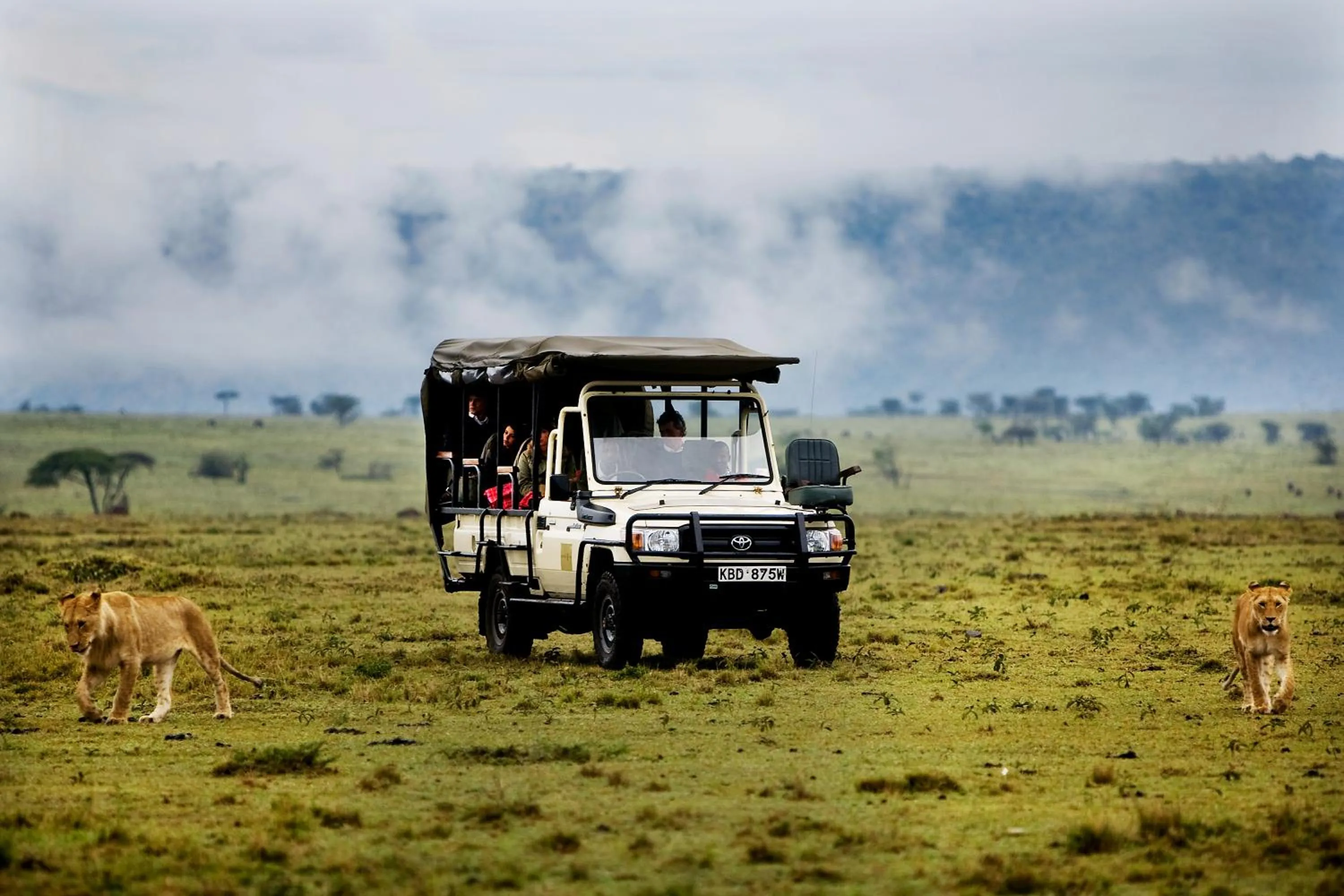 Animals in Karen Blixen Camp Masai Mara