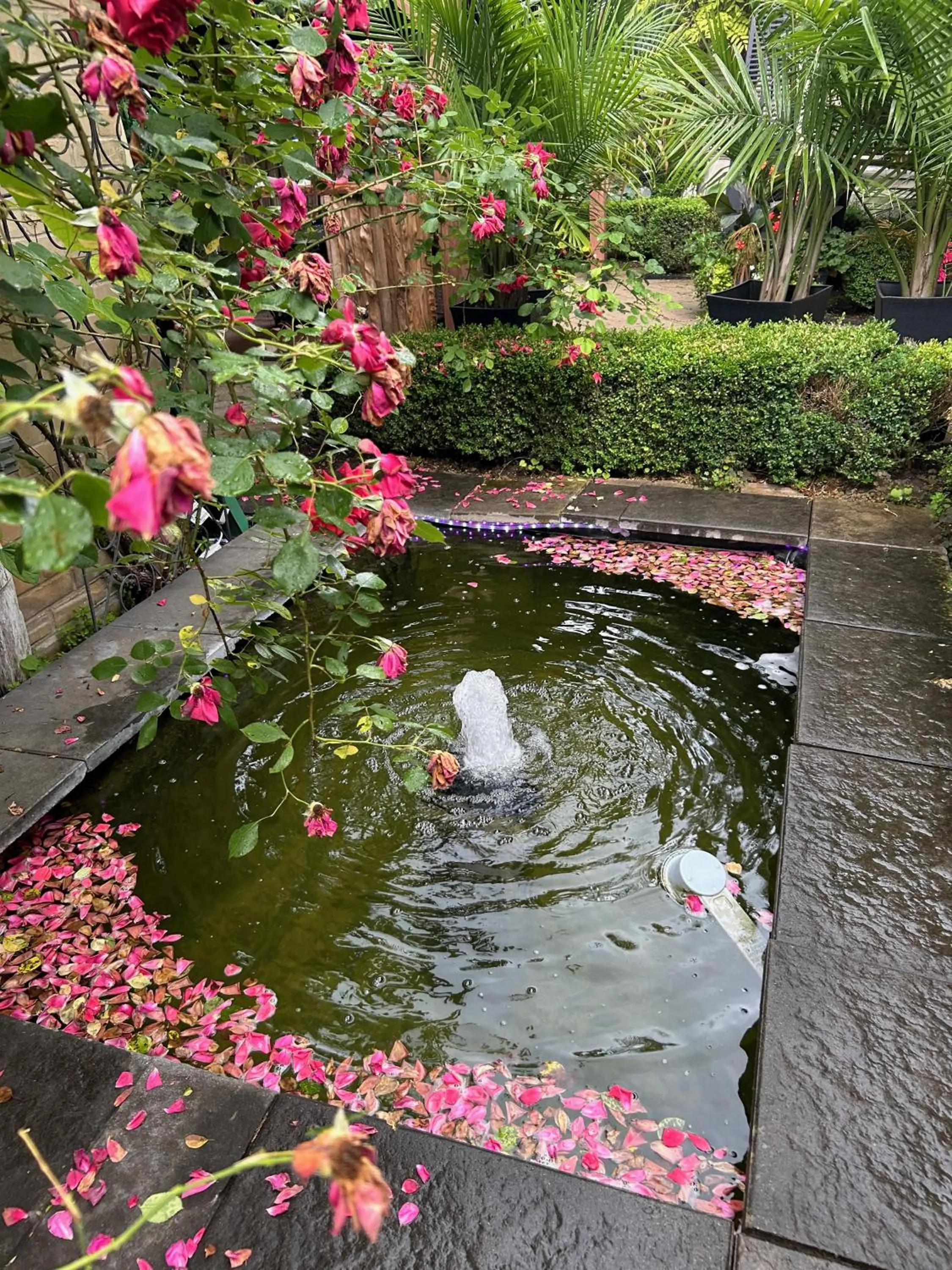 Norfolk Guest House Inn