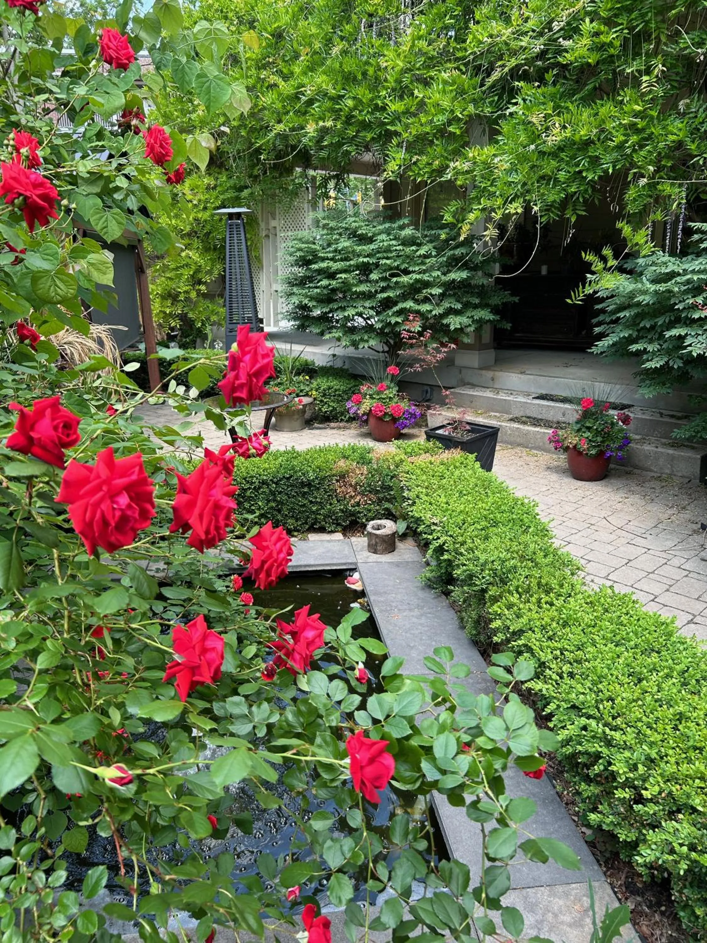 Norfolk Guest House Inn