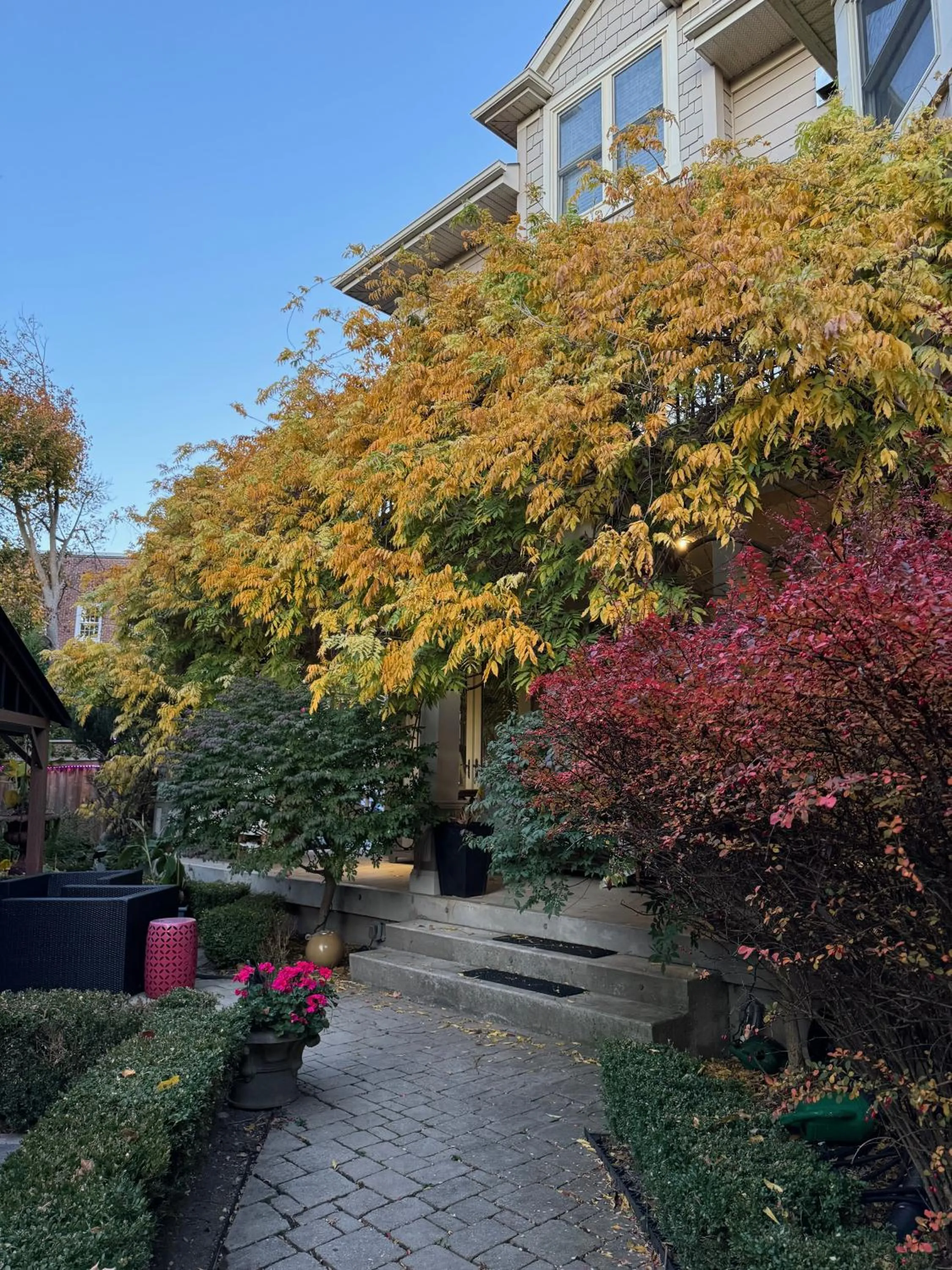 Norfolk Guest House Inn