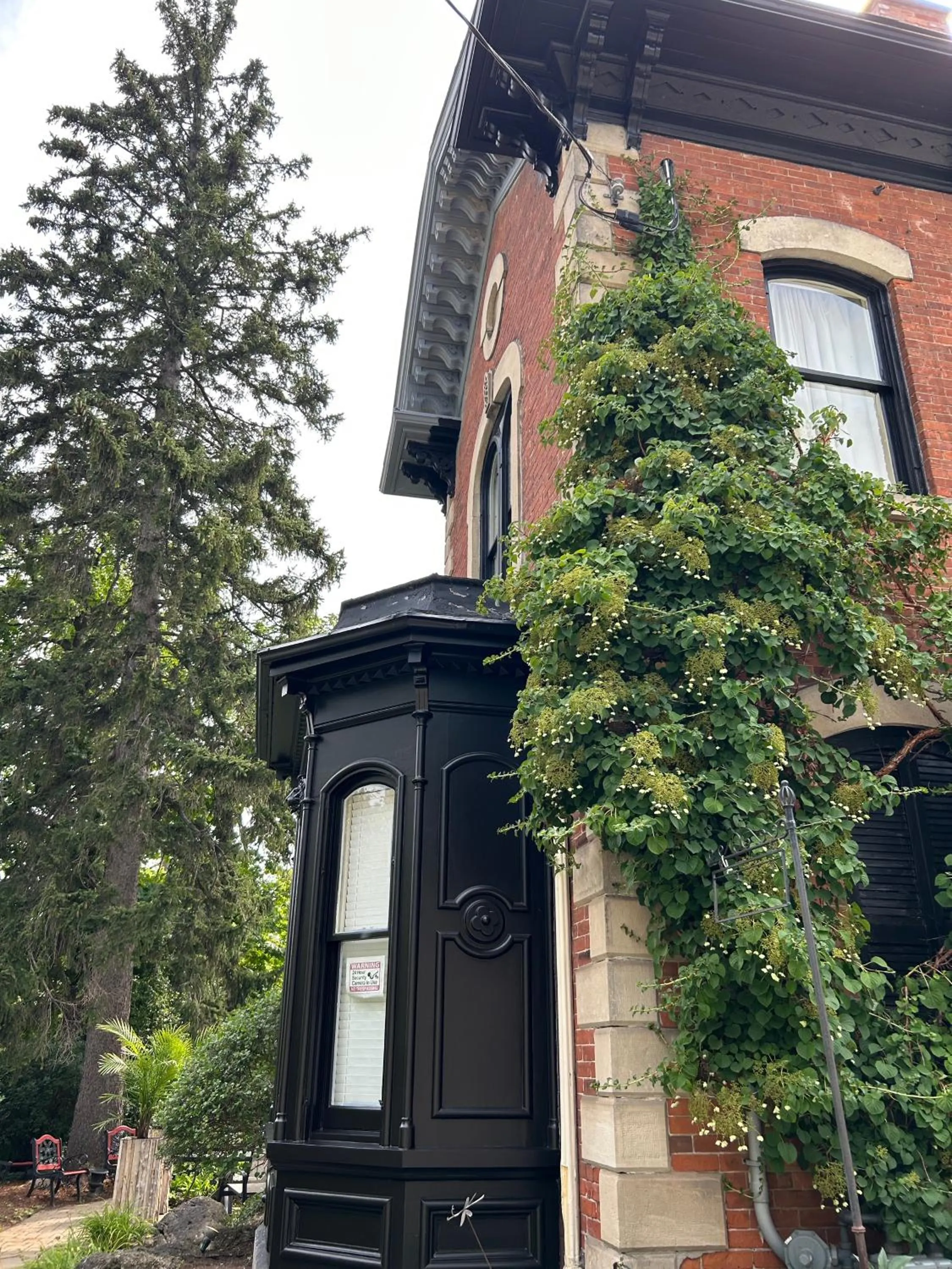 Norfolk Guest House Inn