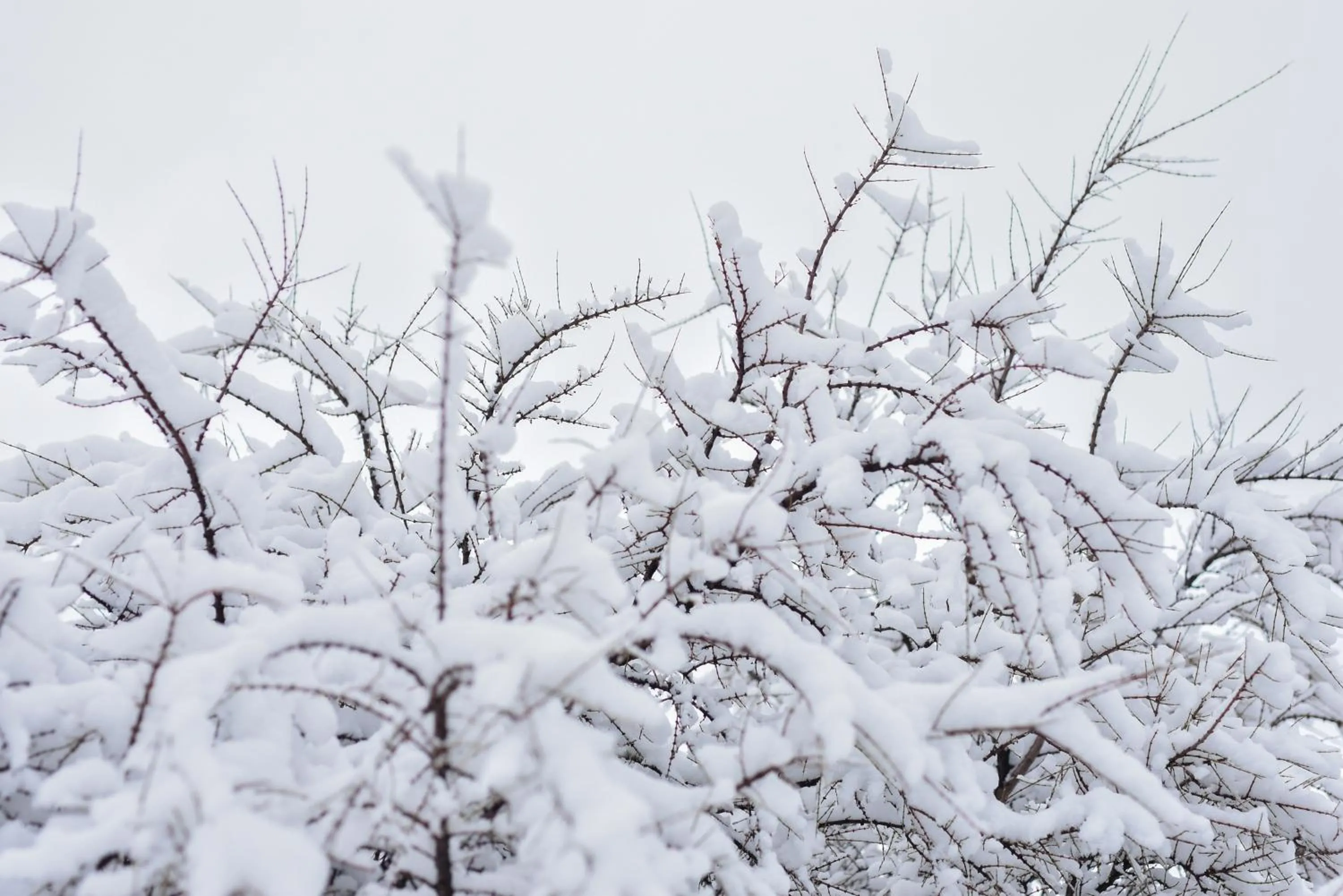 Winter in Luna Llena Dina Huapi