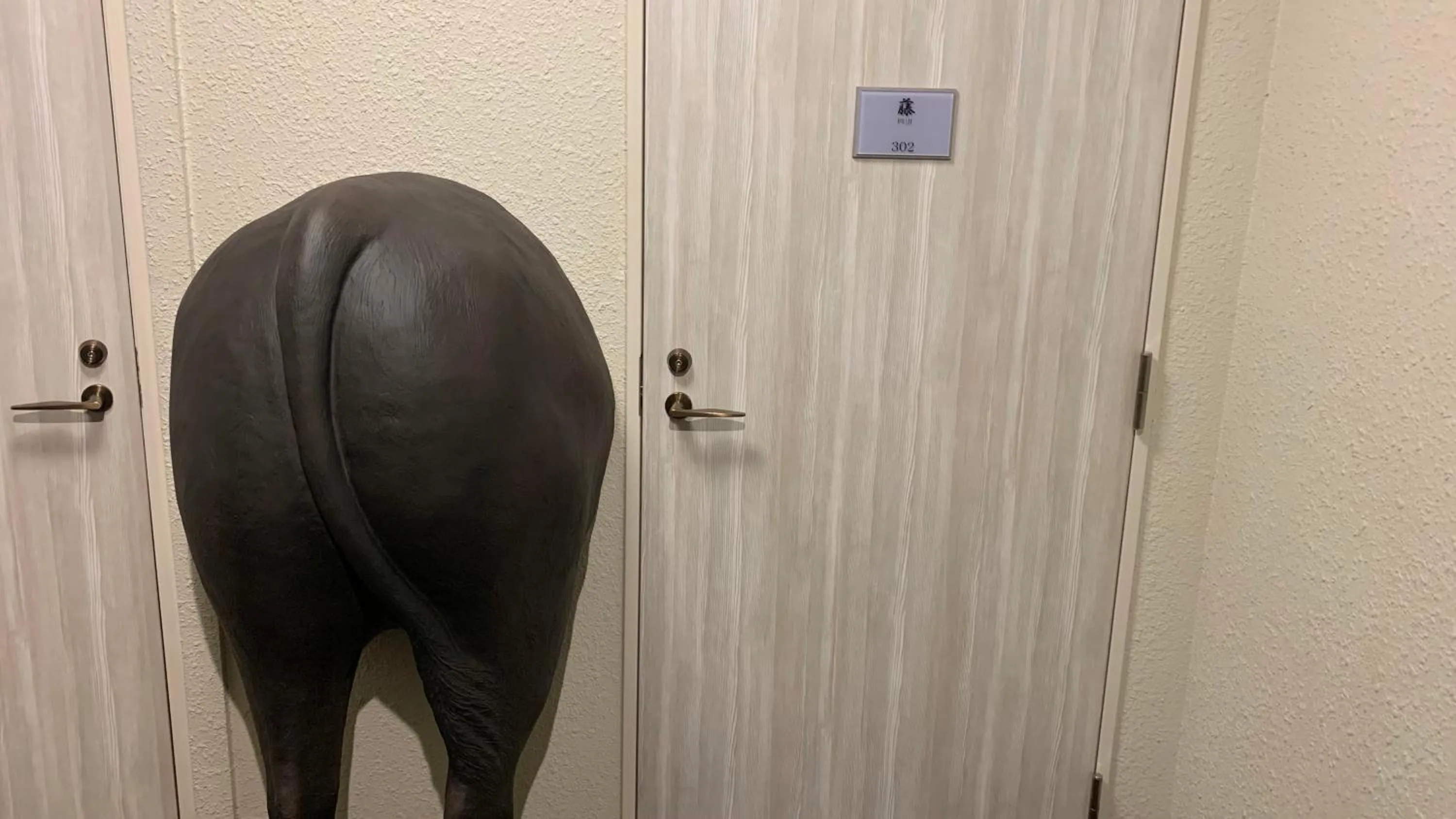 Photo of the whole room in Koyado Enn