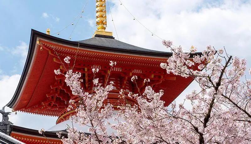 Nearby landmark in Hotel Wakamizu