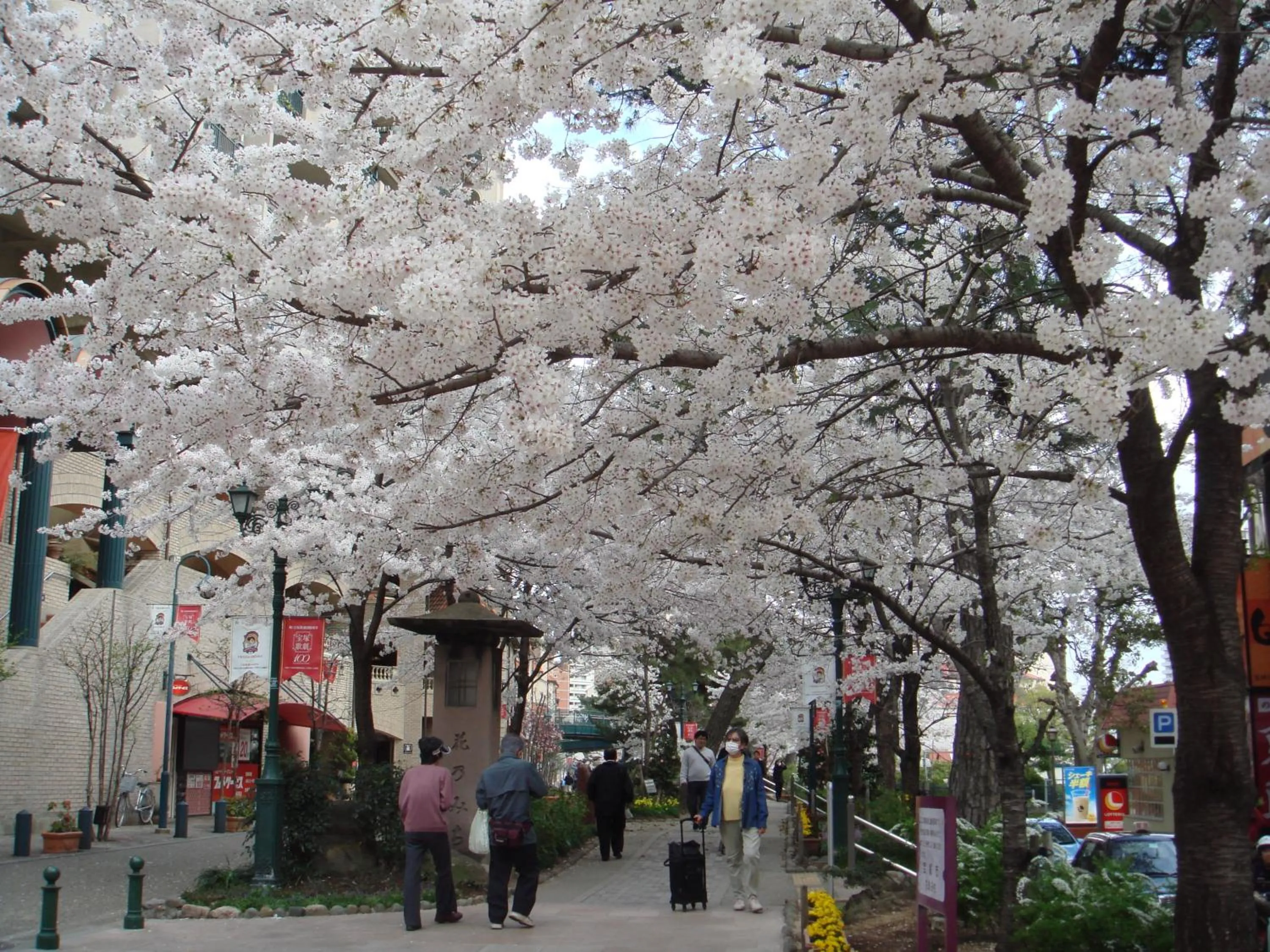 Spring in Hotel Wakamizu