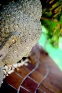 Decorative detail in Ballina Palms Boutique Motel