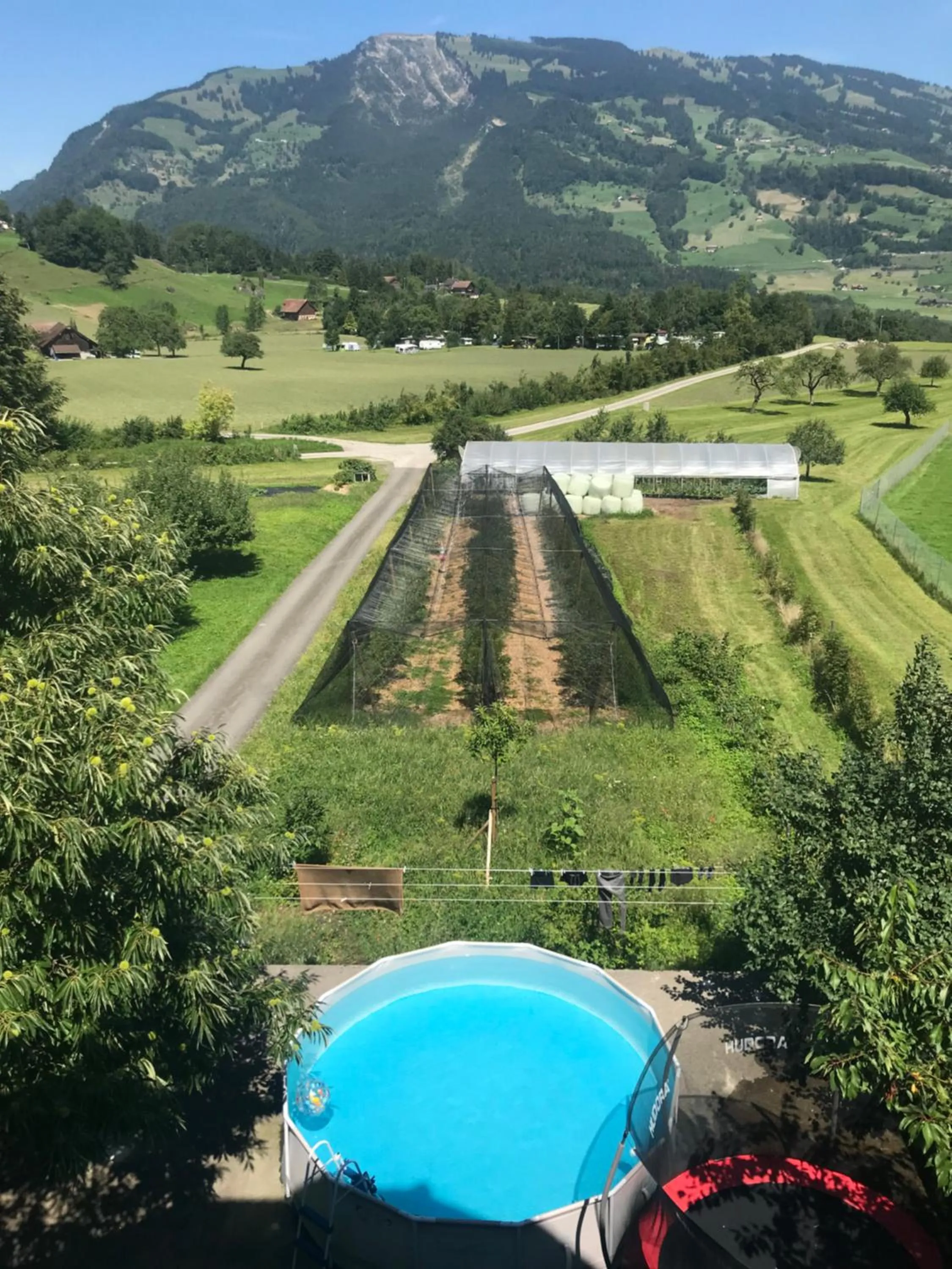 View (from property/room) in Hirschfarm, Goldau