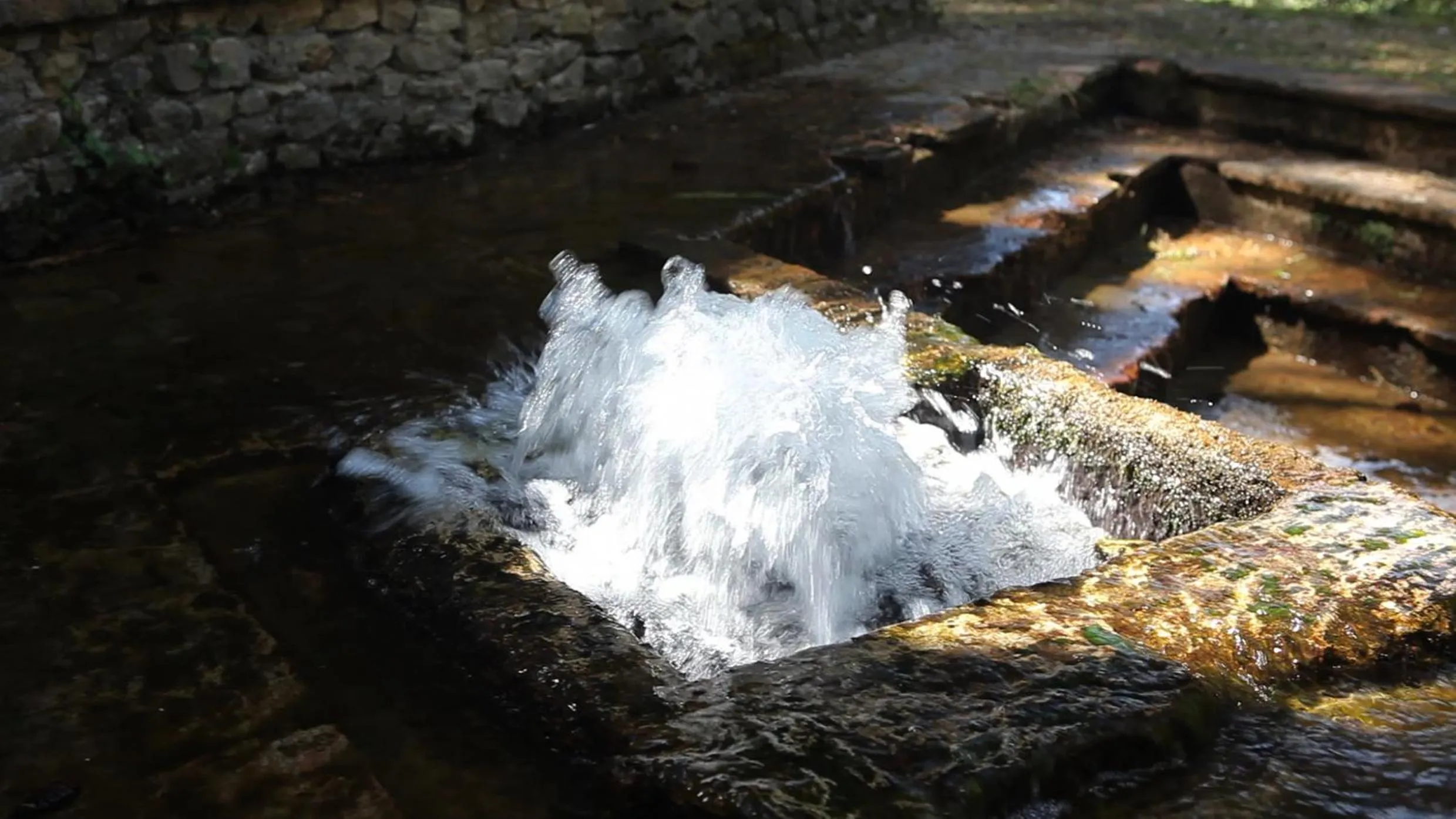 Garden in Convento di Acqua Premula