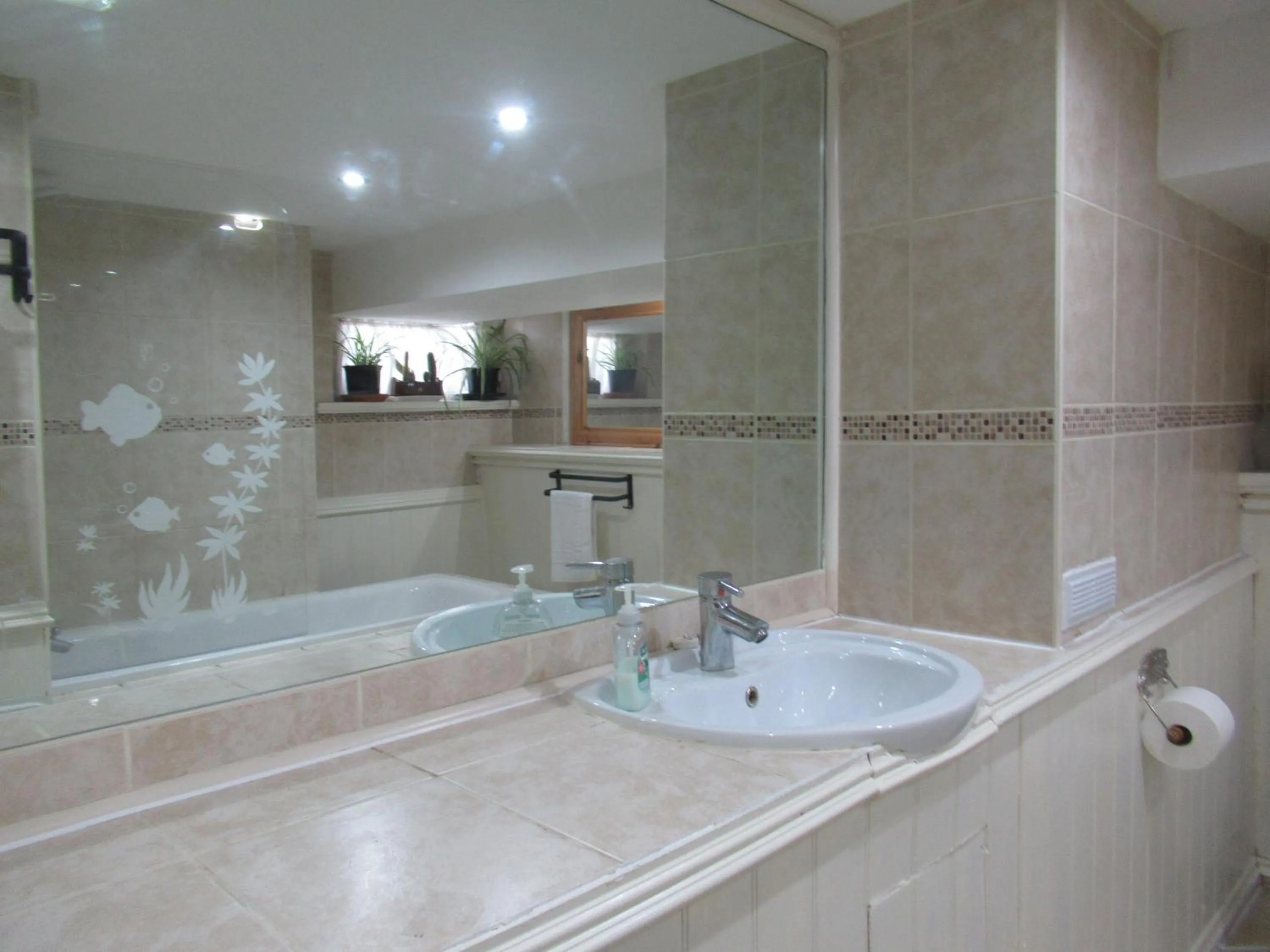 Bathroom in Captain Howey Hotel