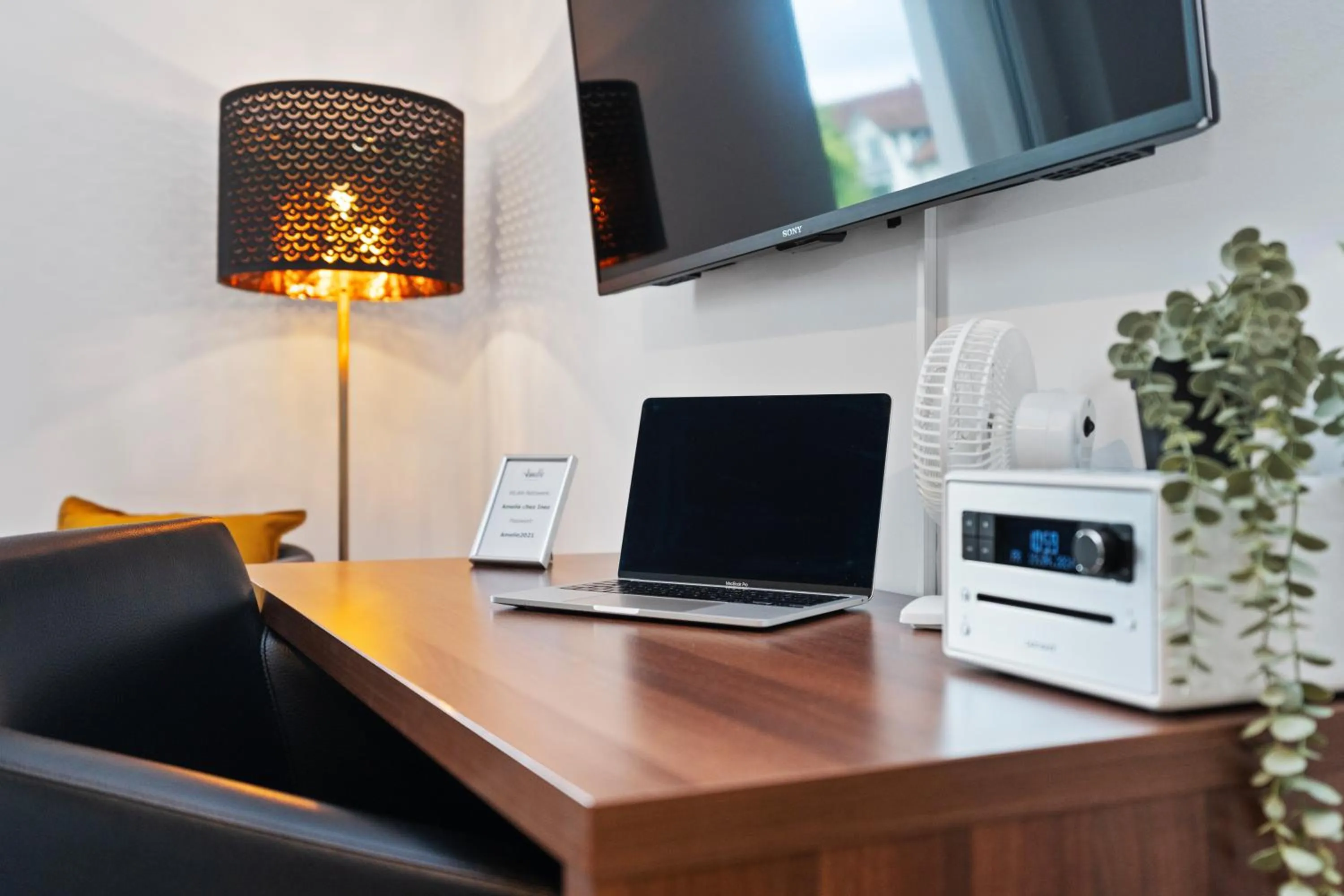 TV and multimedia in Amelie chez Inez