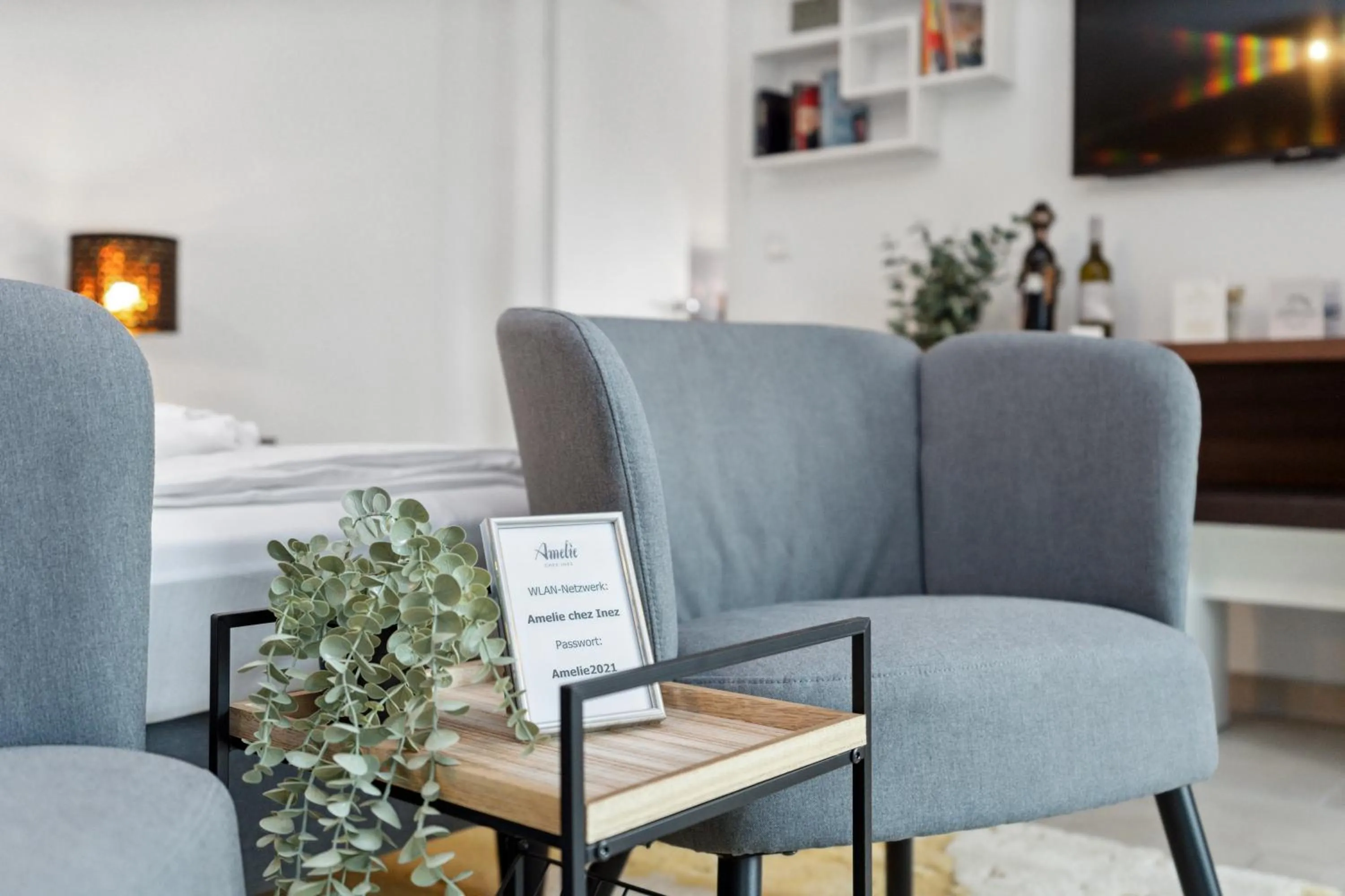 TV and multimedia in Amelie chez Inez