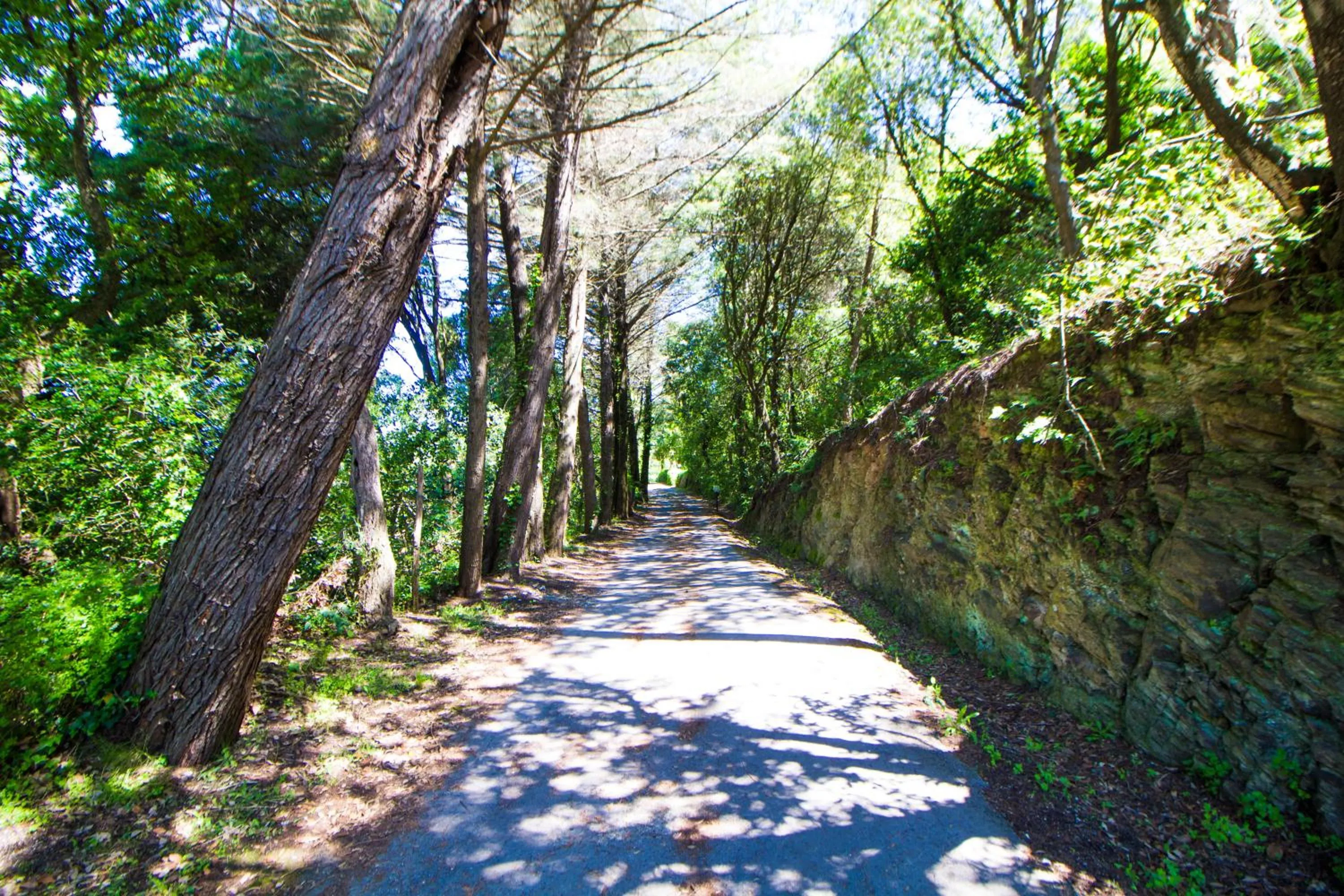 Facade/entrance in Residence Oasis