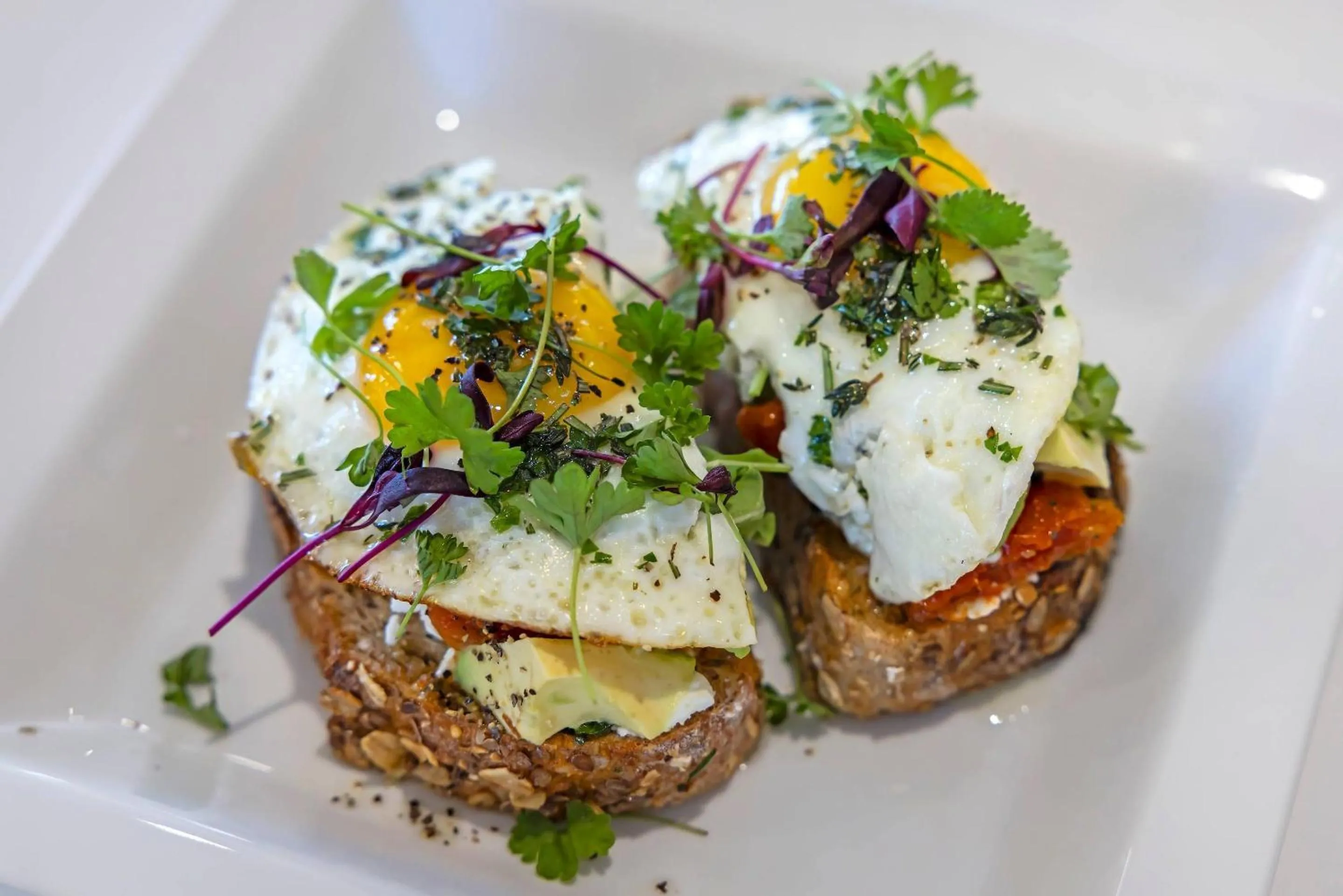 Breakfast in Cambria Hotel Burbank Airport
