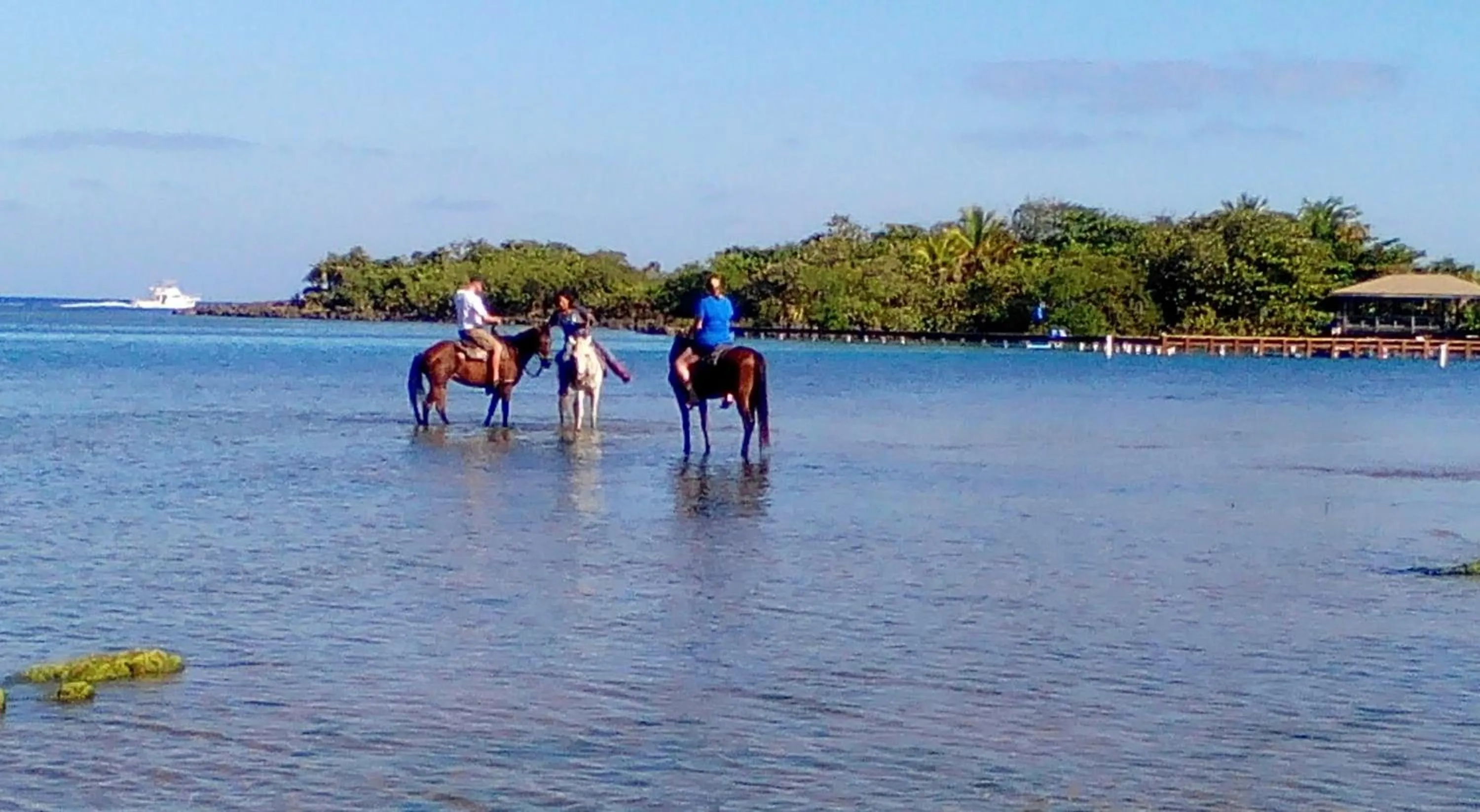 Activities in Acqua di Mare Resort