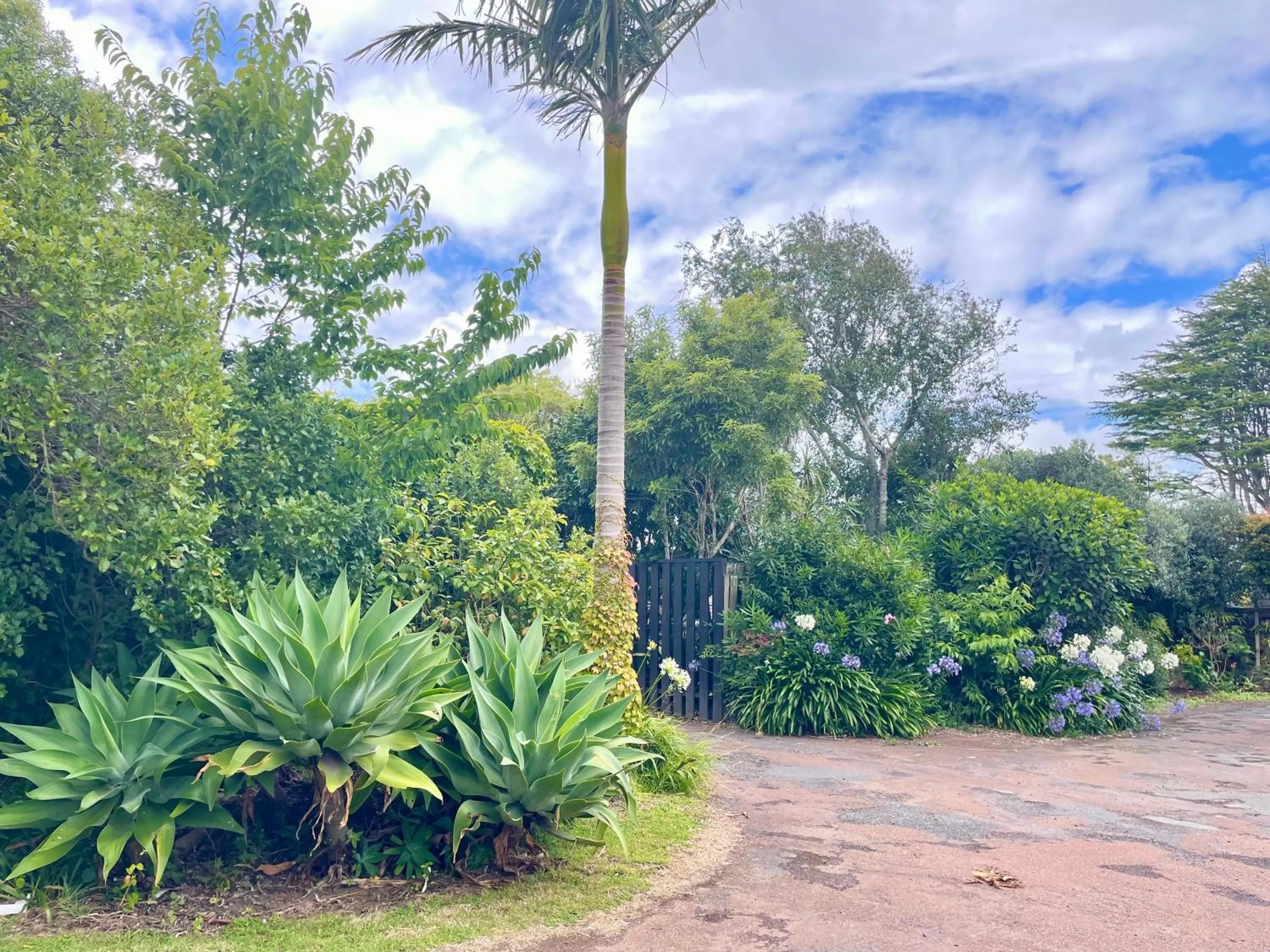 Other in Mount Eden Motel